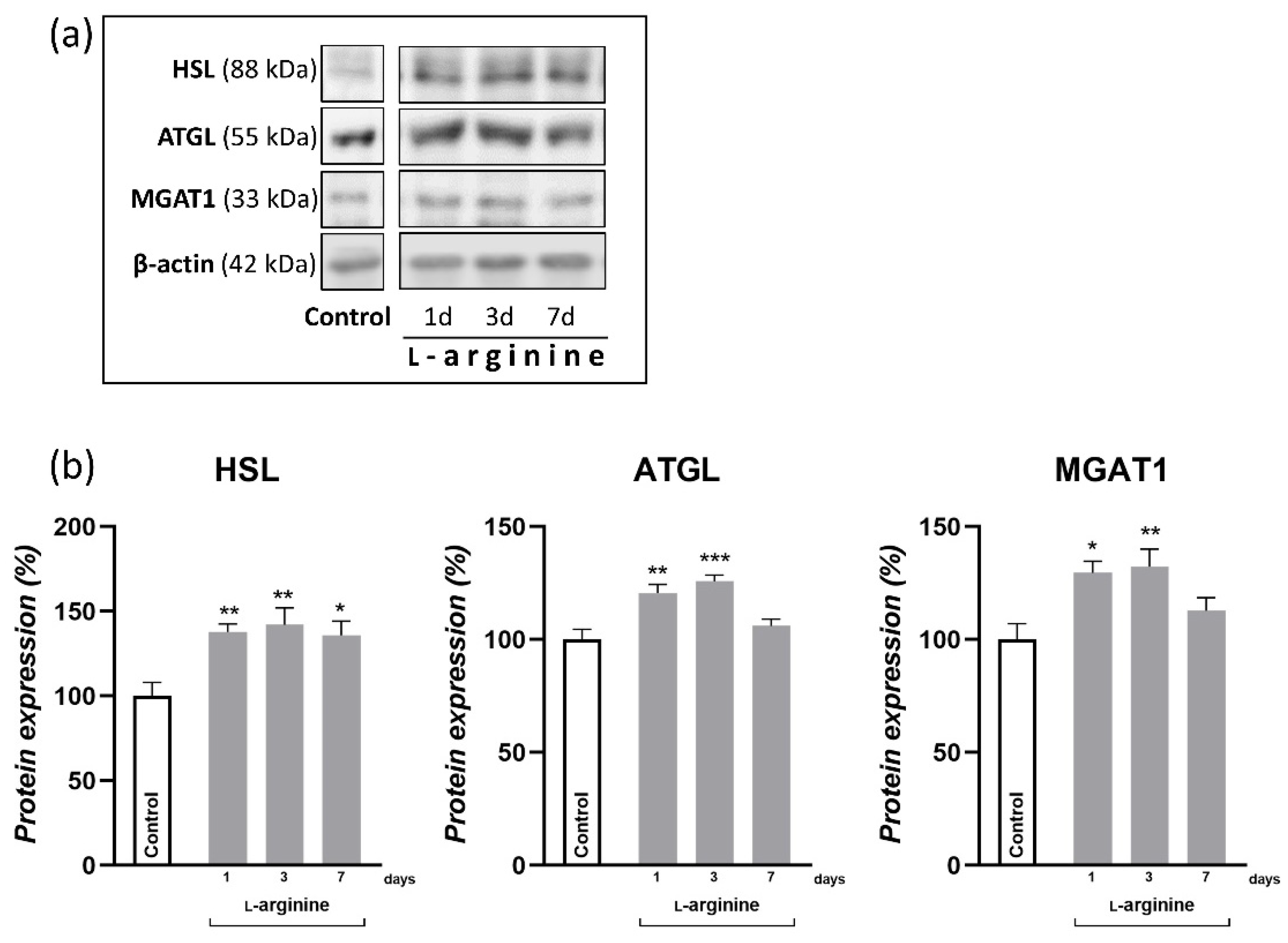 Pharmaceutics 14 01368 g003 Pharmaceutics 14 01368 g003