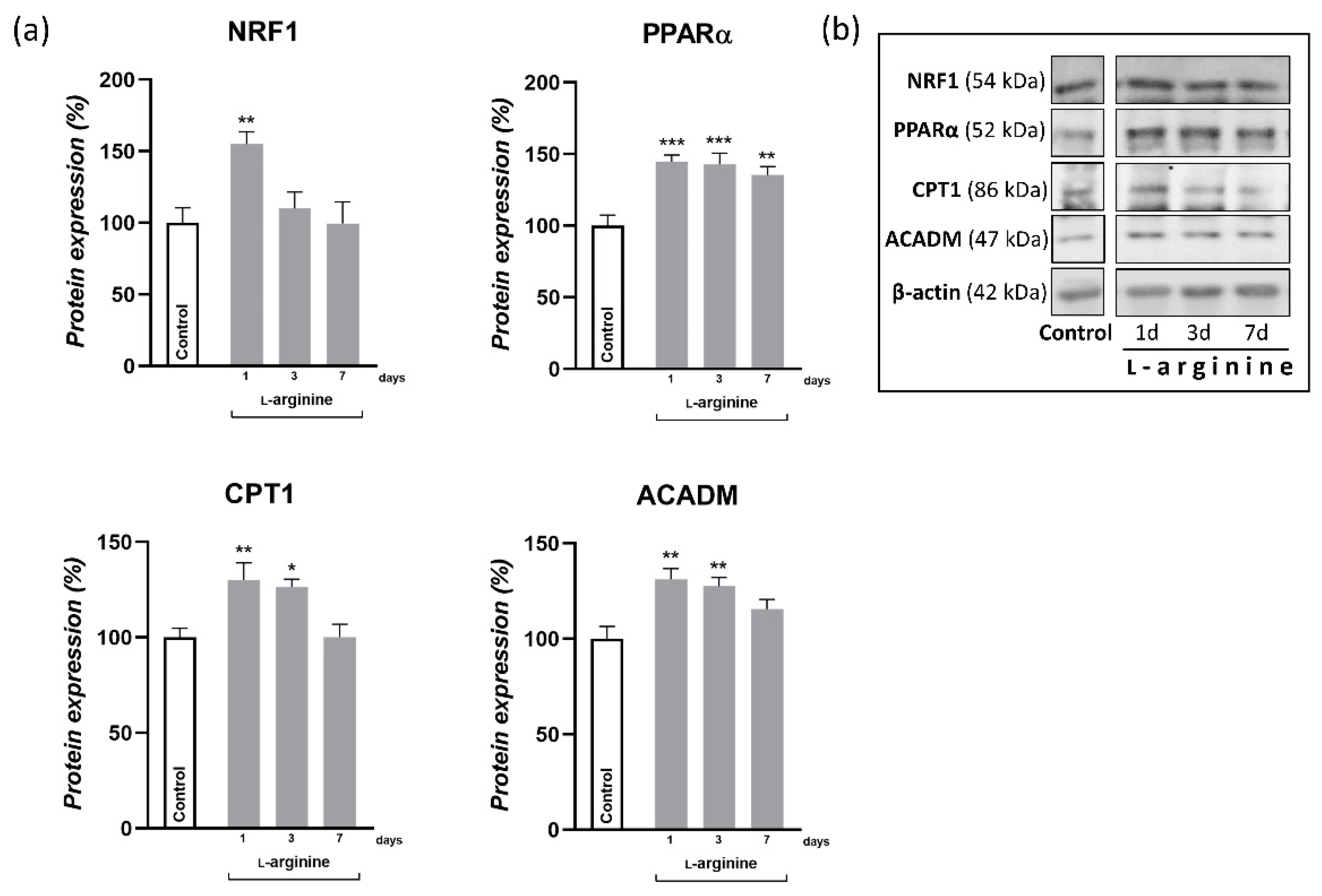 Pharmaceutics 14 01368 g005 Pharmaceutics 14 01368 g005