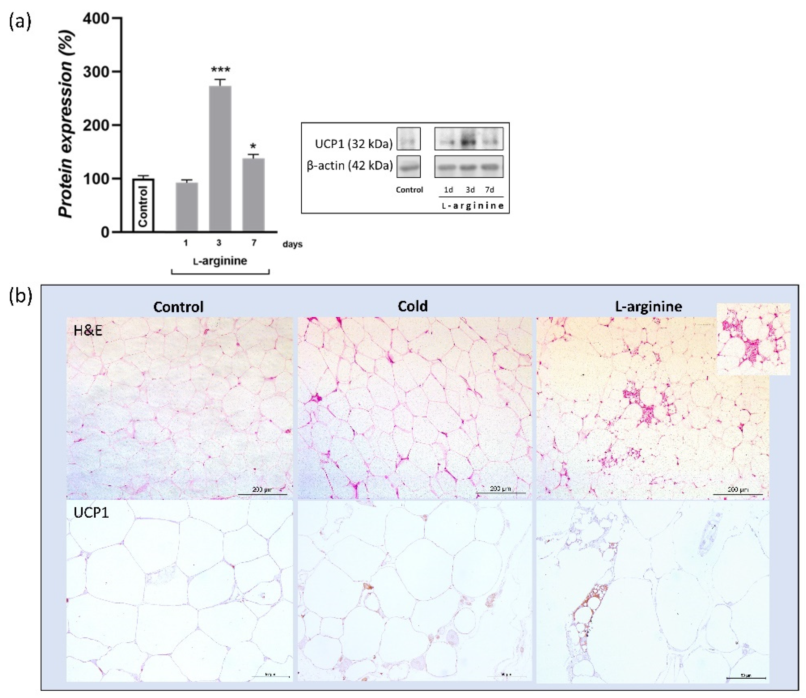 Pharmaceutics 14 01368 g006 Pharmaceutics 14 01368 g006