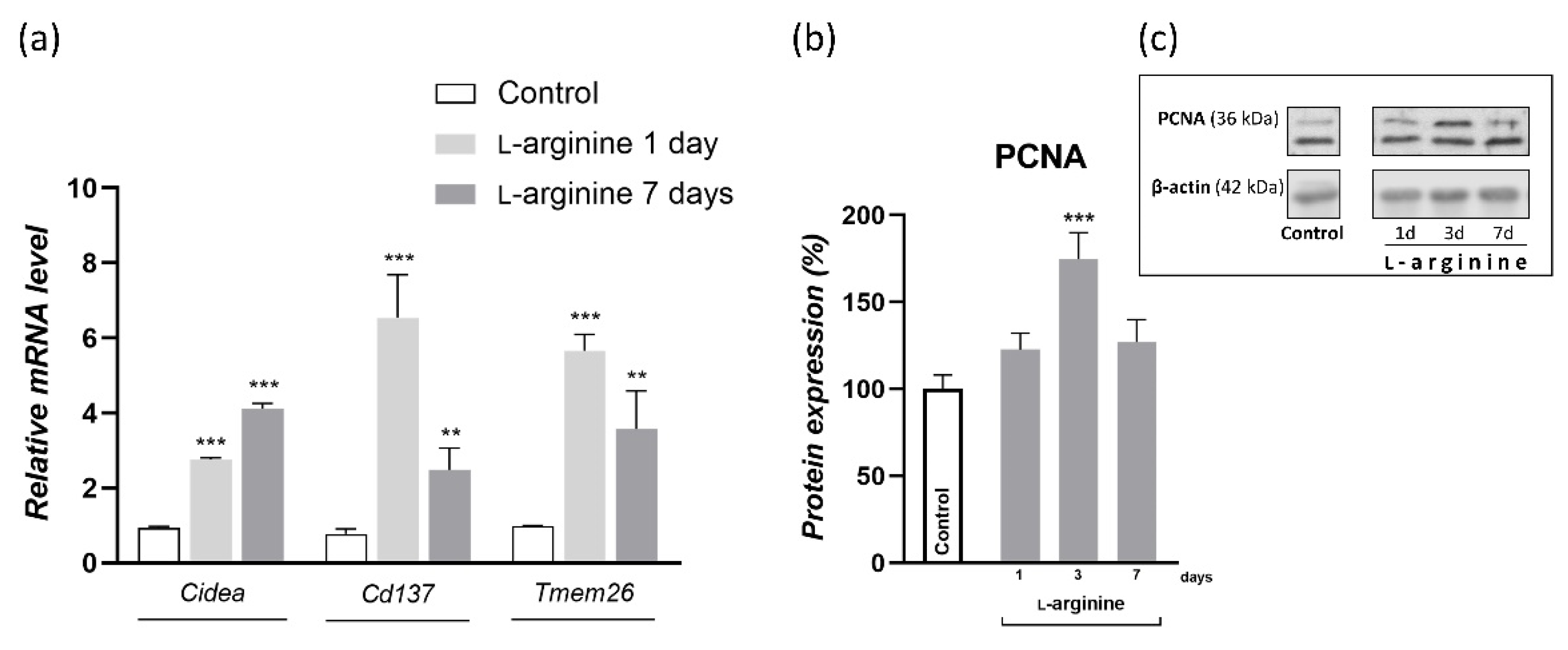 Pharmaceutics 14 01368 g007 Pharmaceutics 14 01368 g007