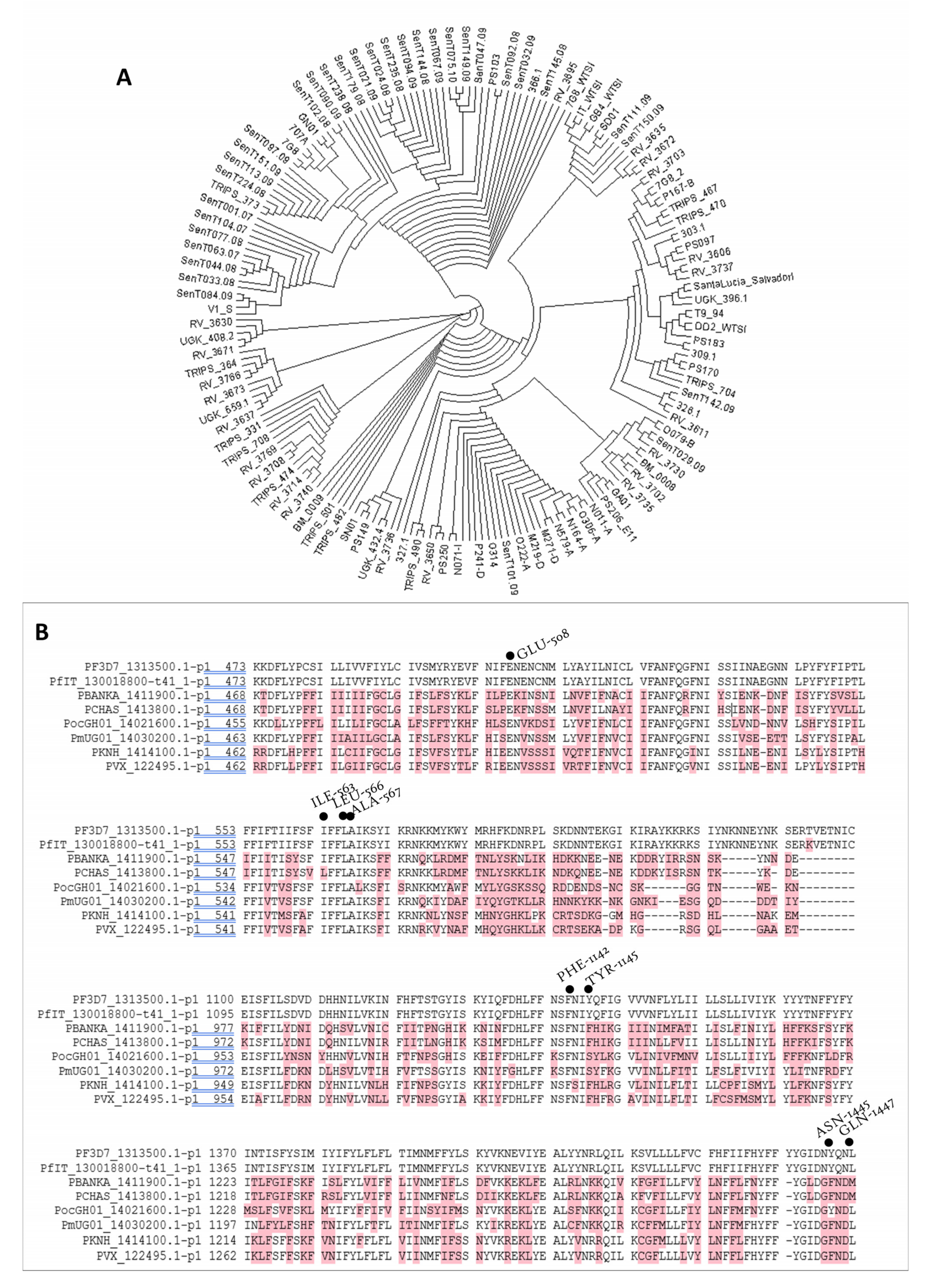 Pharmaceutics 14 01371 g004 Pharmaceutics 14 01371 g004