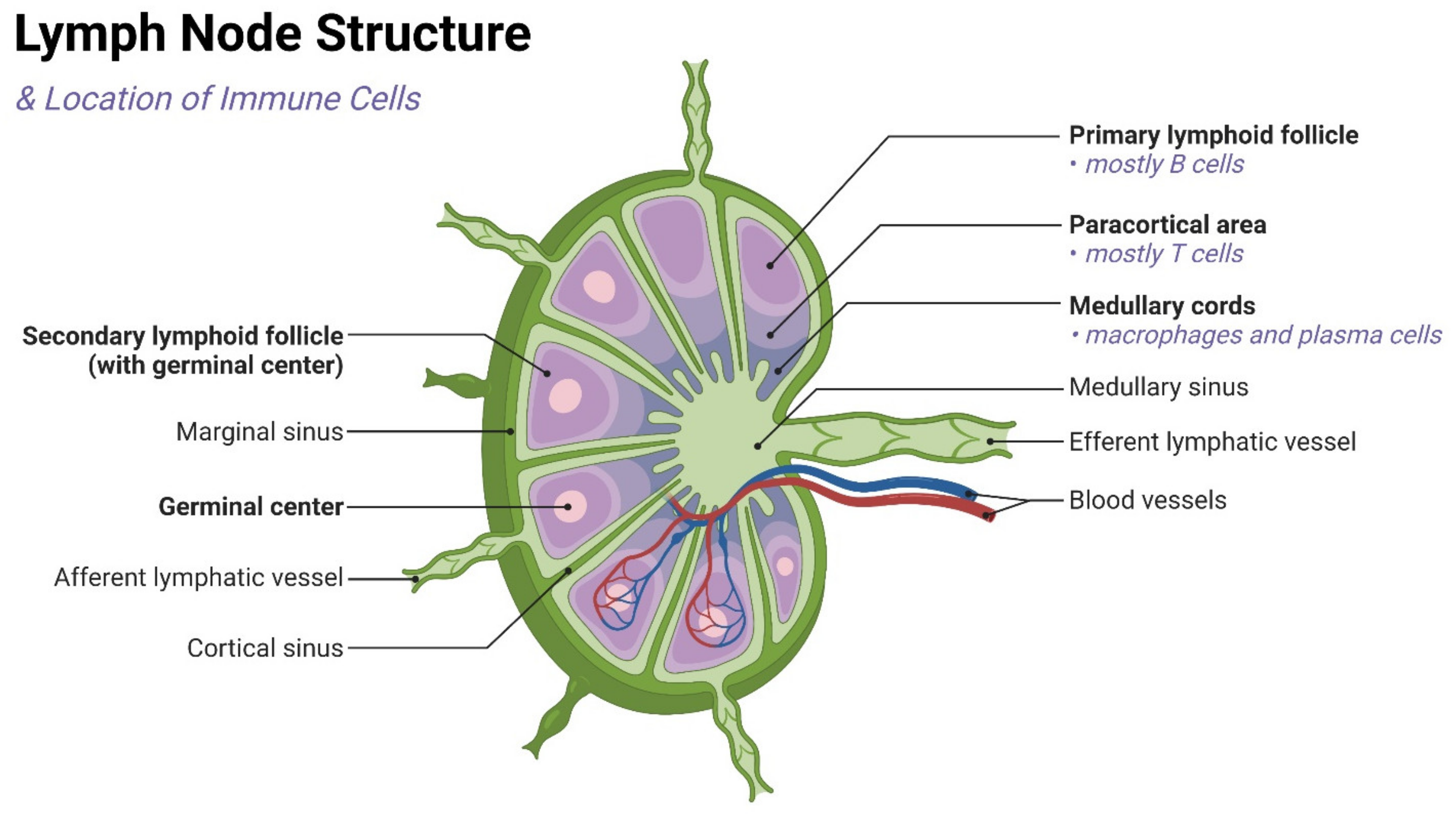 Pharmaceutics 14 01372 g002