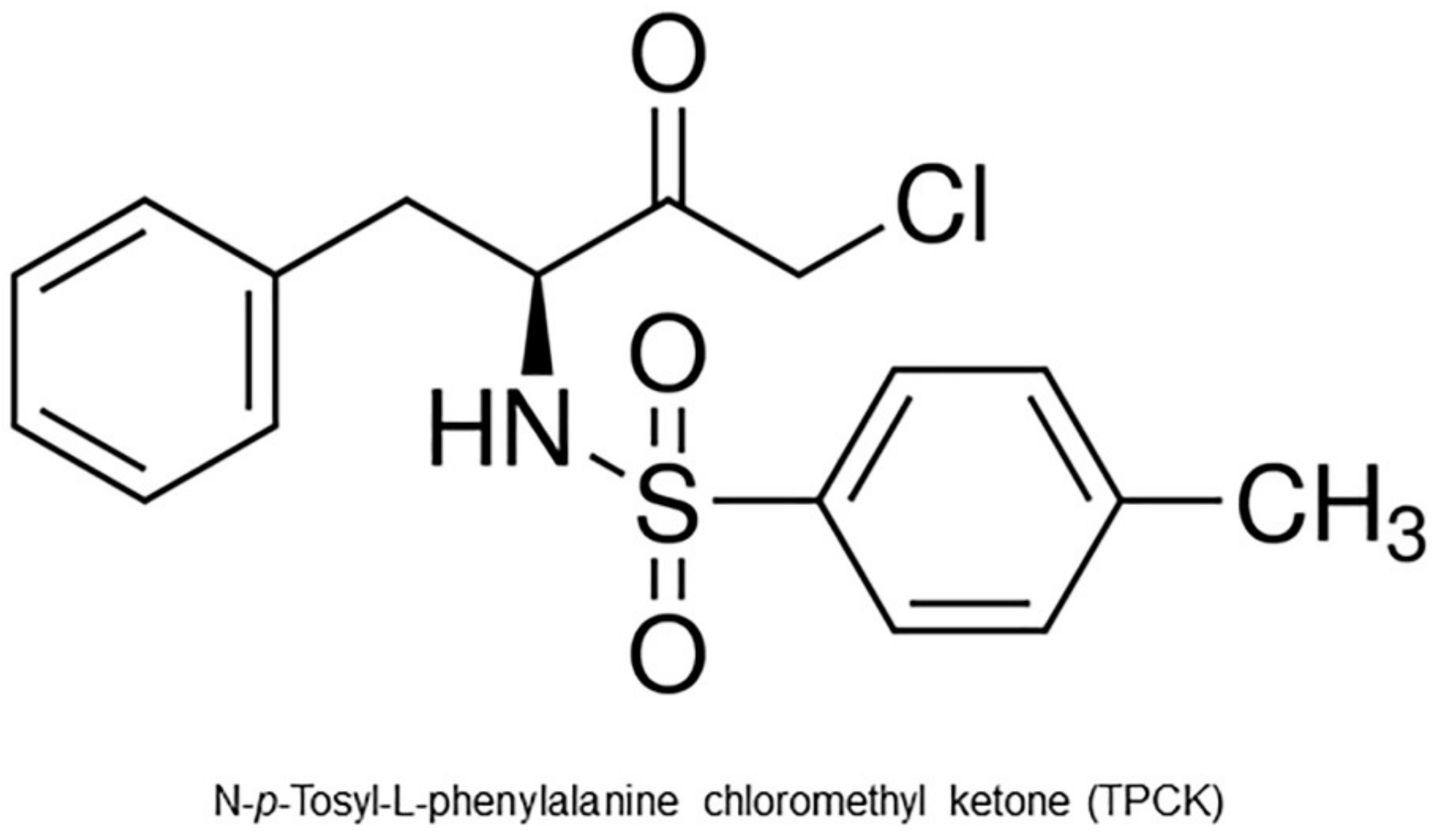 Pharmaceutics 14 01373 g001 Pharmaceutics 14 01373 g001