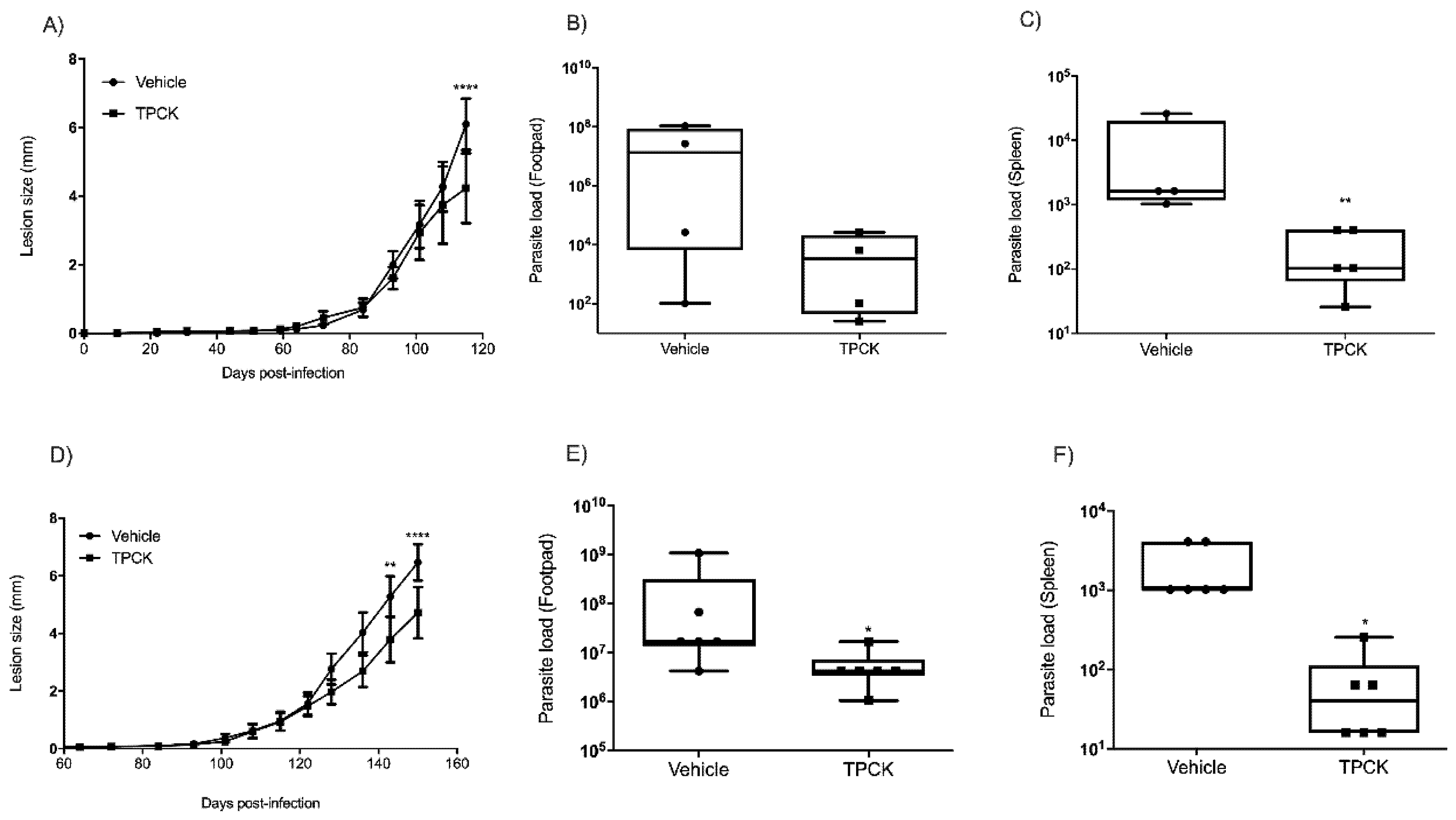 Pharmaceutics 14 01373 g010a Pharmaceutics 14 01373 g010a