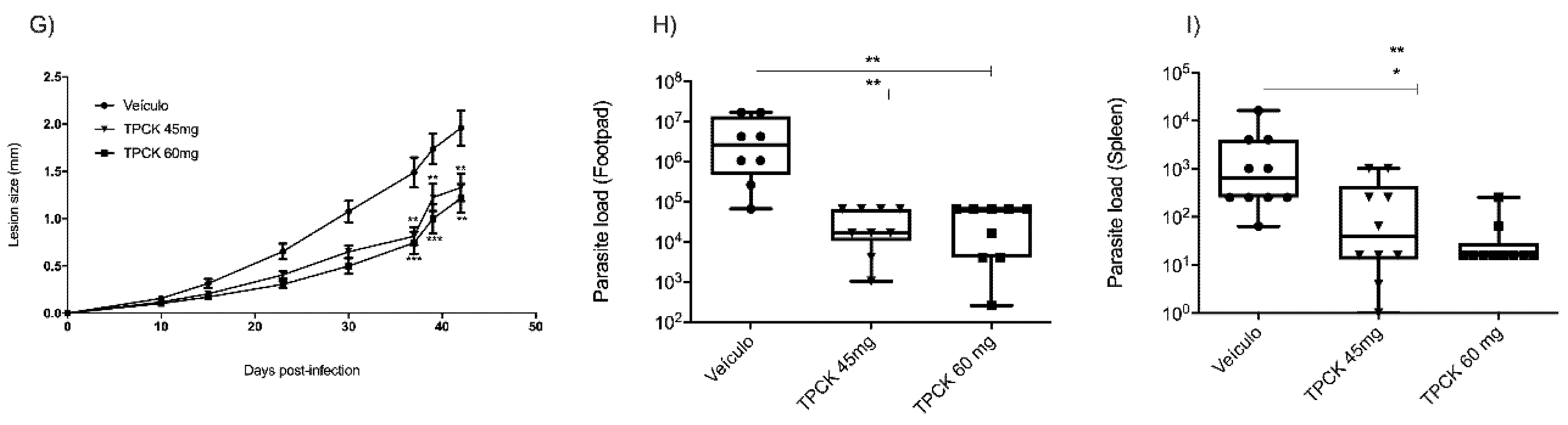 Pharmaceutics 14 01373 g010b Pharmaceutics 14 01373 g010b