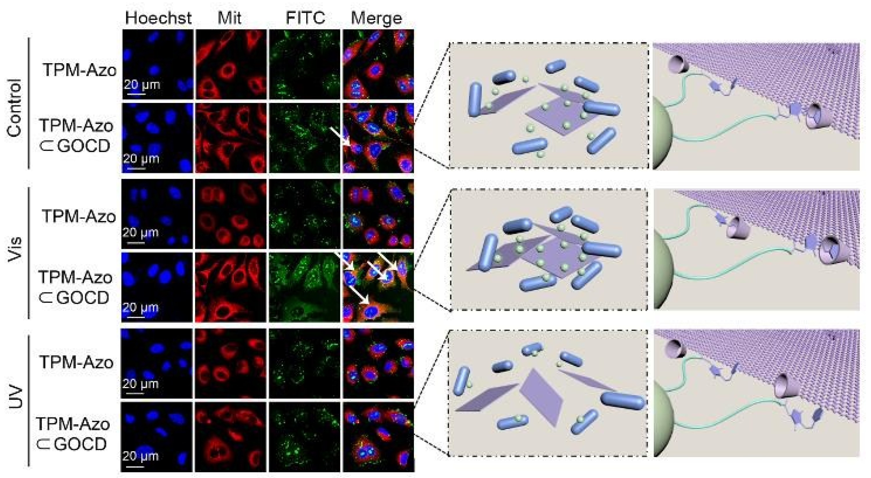 Pharmaceutics 14 01375 g002