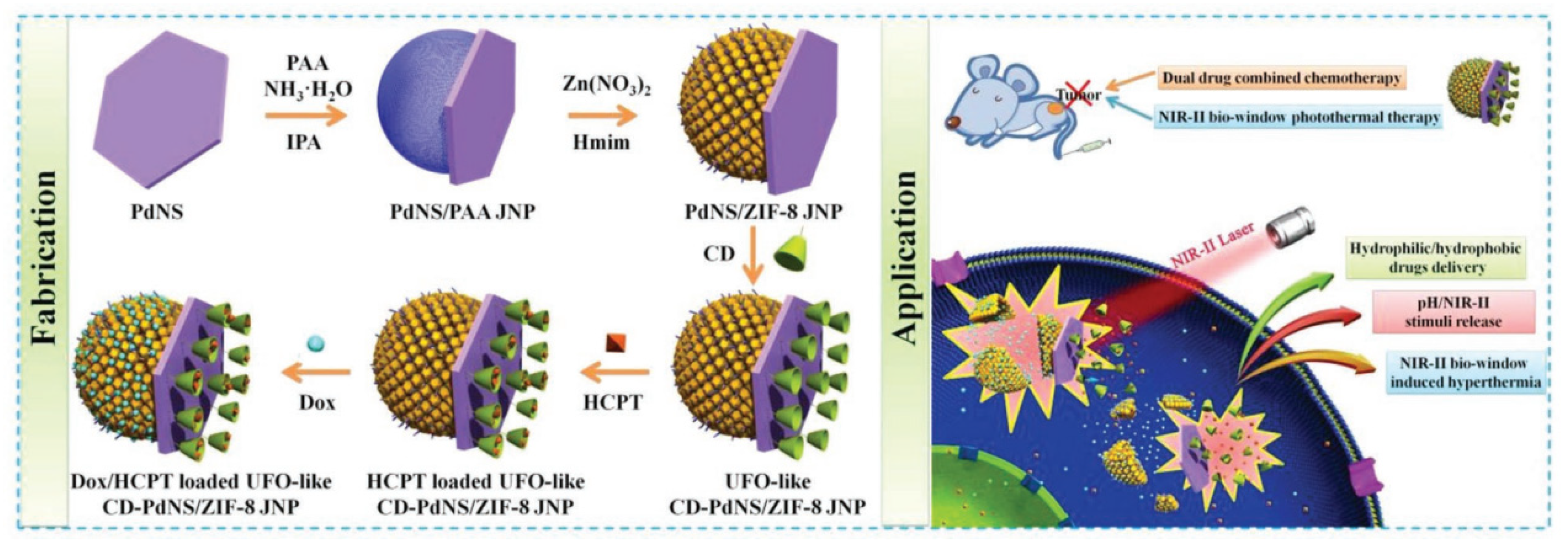 Pharmaceutics 14 01375 g003