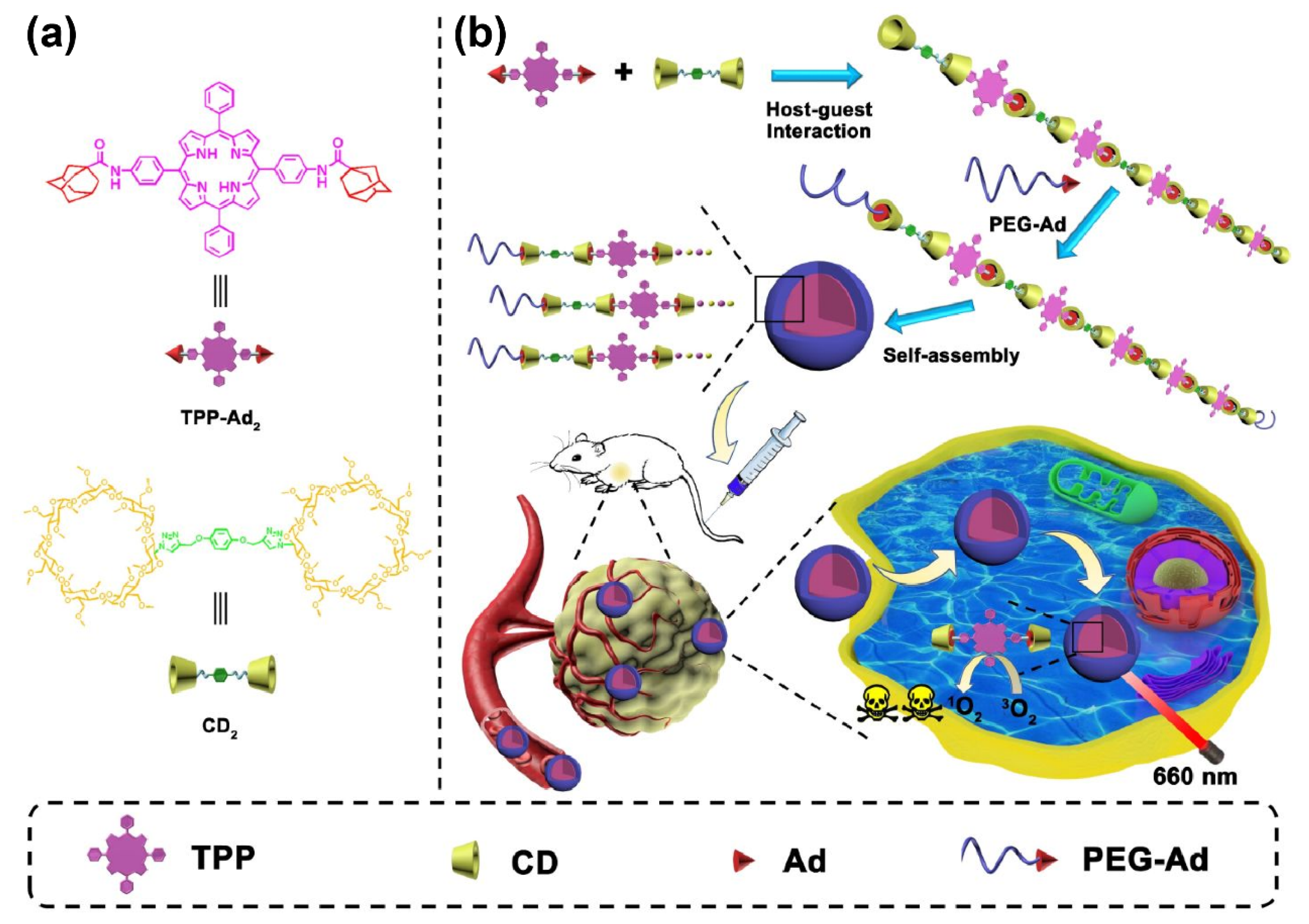Pharmaceutics 14 01375 g004