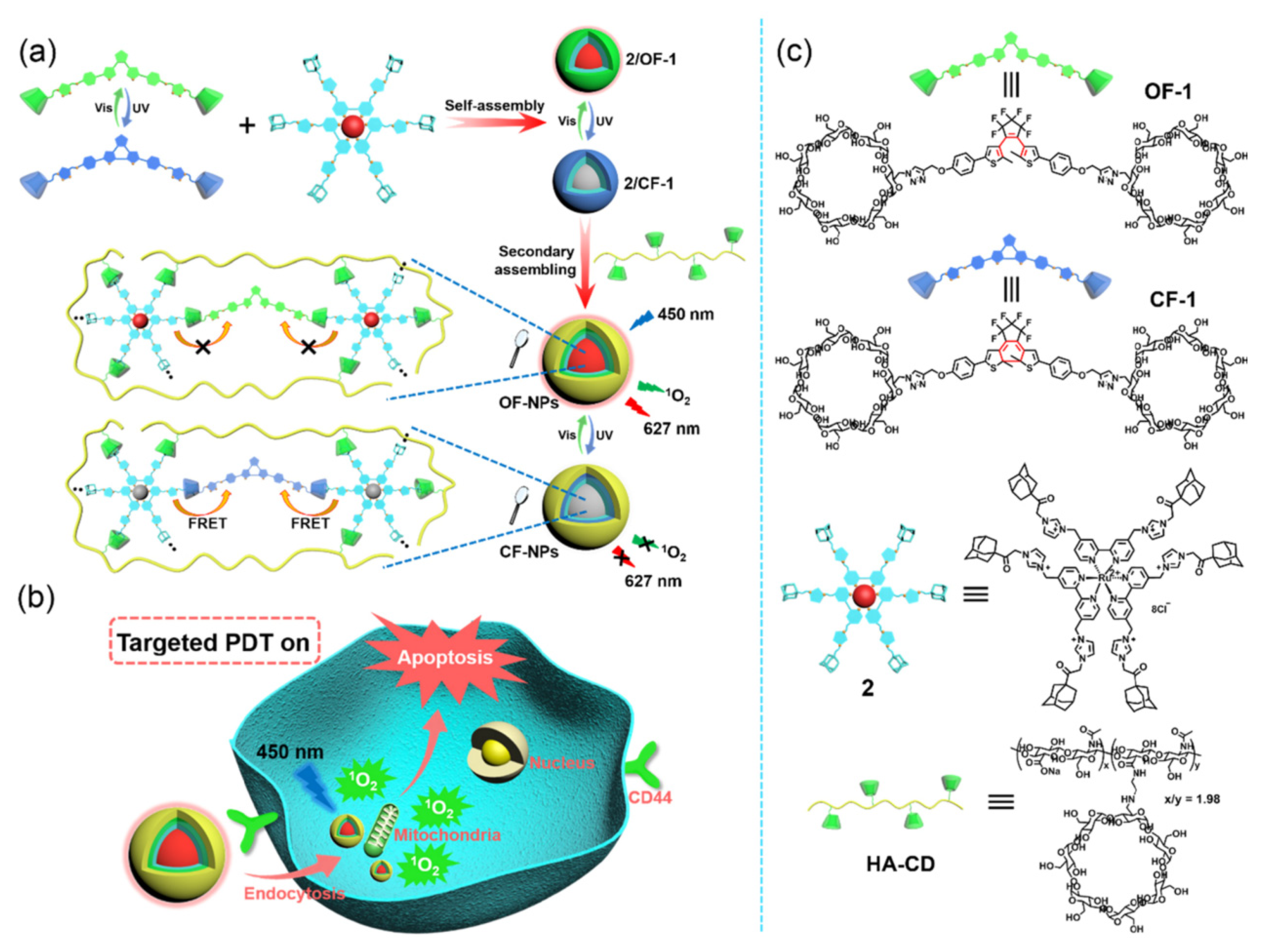 Pharmaceutics 14 01375 g006
