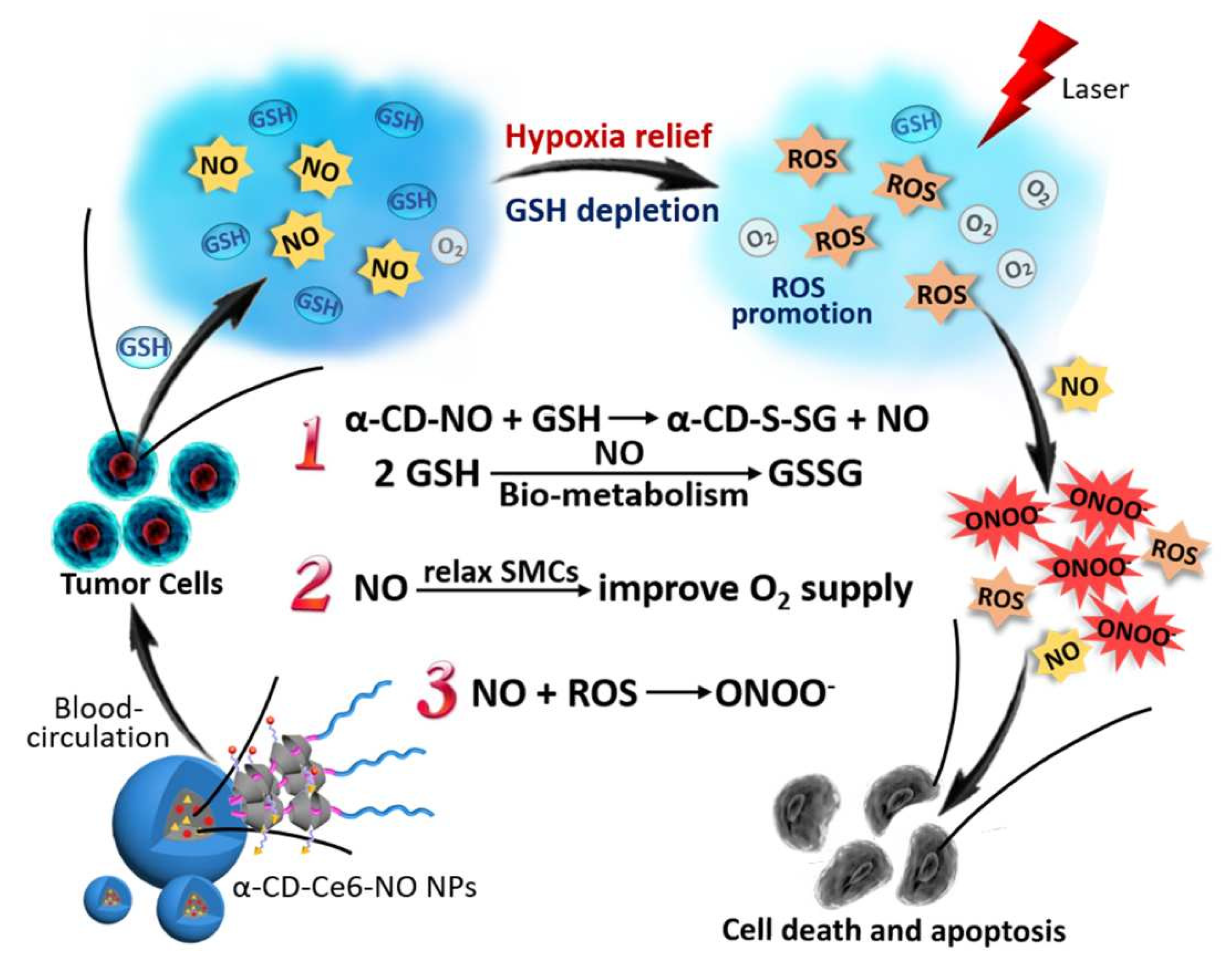 Pharmaceutics 14 01375 g007