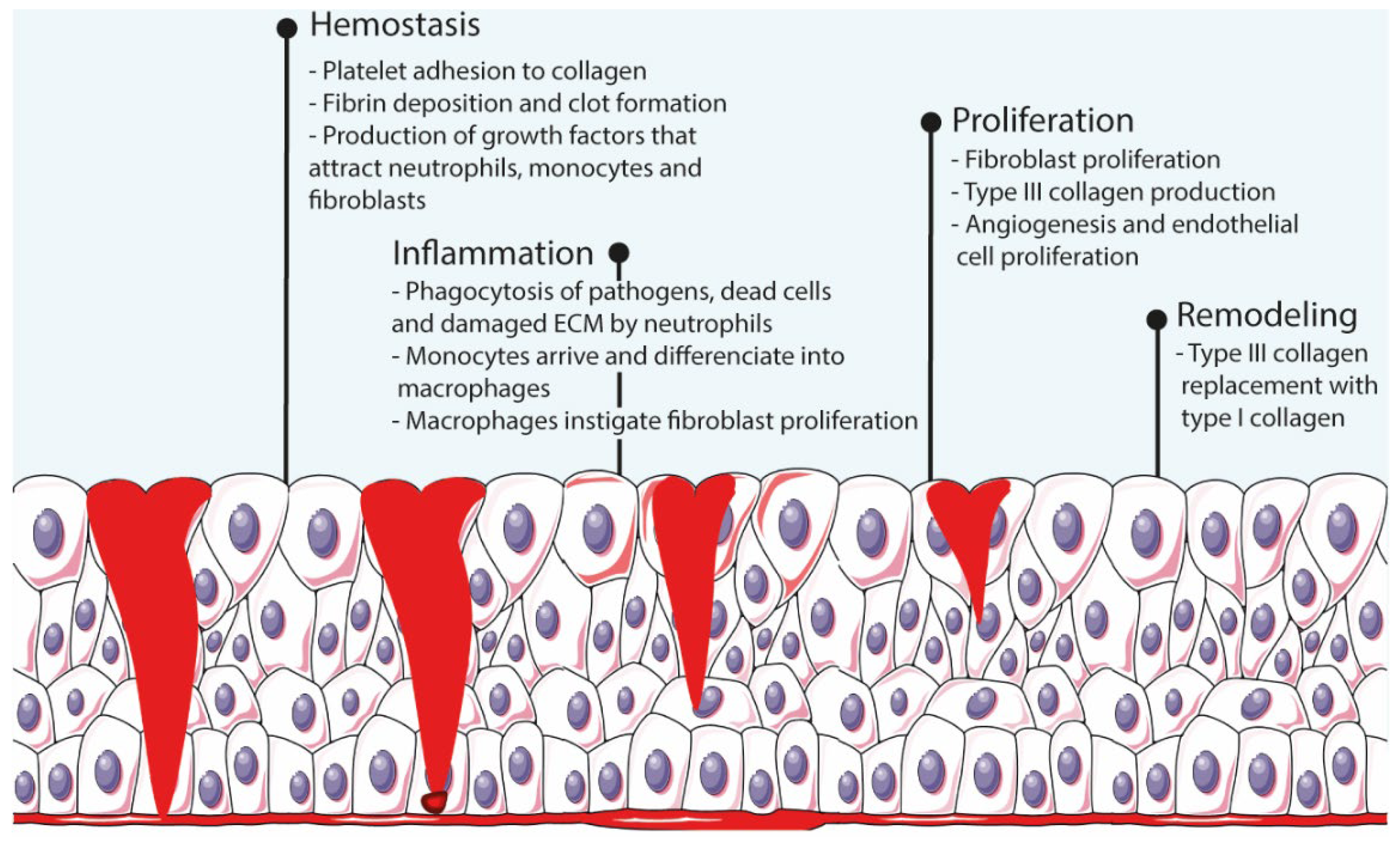 Pharmaceutics 14 01377 g001 550