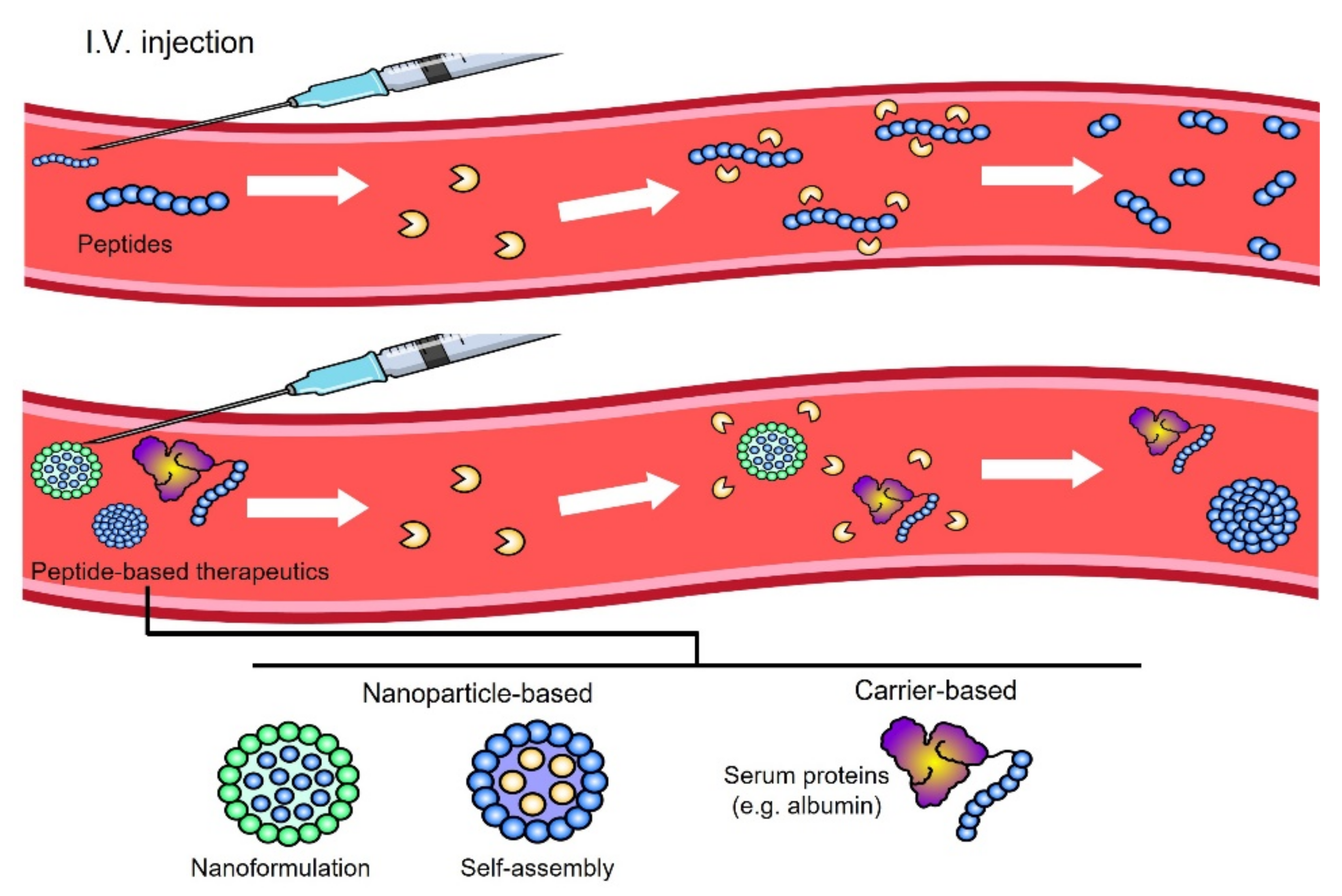 Pharmaceutics 14 01378 g001 Pharmaceutics 14 01378 g001