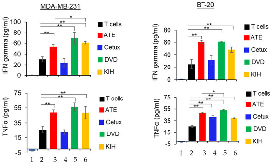 Comparative Characterization of Different Molecular Formats