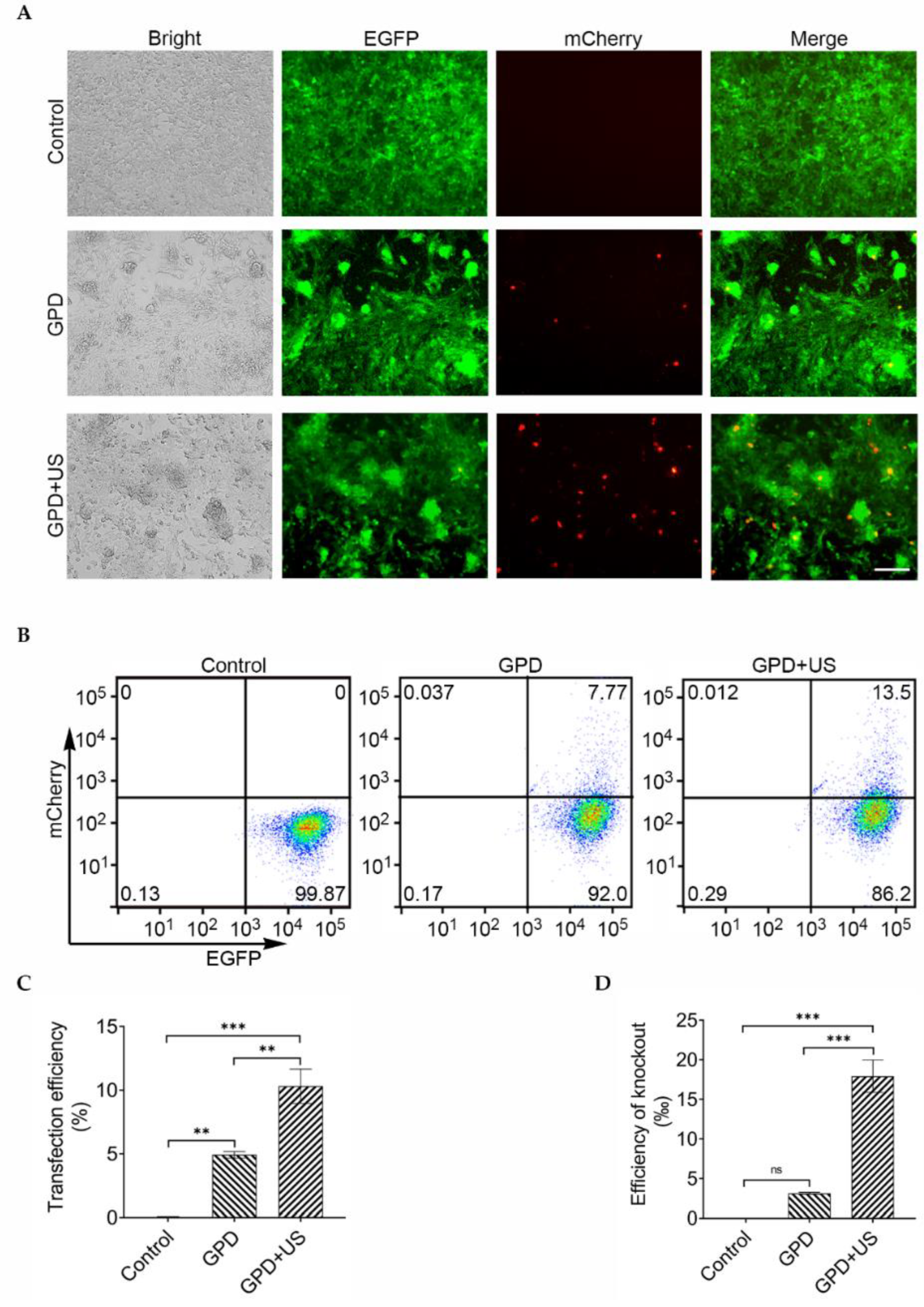Pharmaceutics 14 01382 g002 Pharmaceutics 14 01382 g002