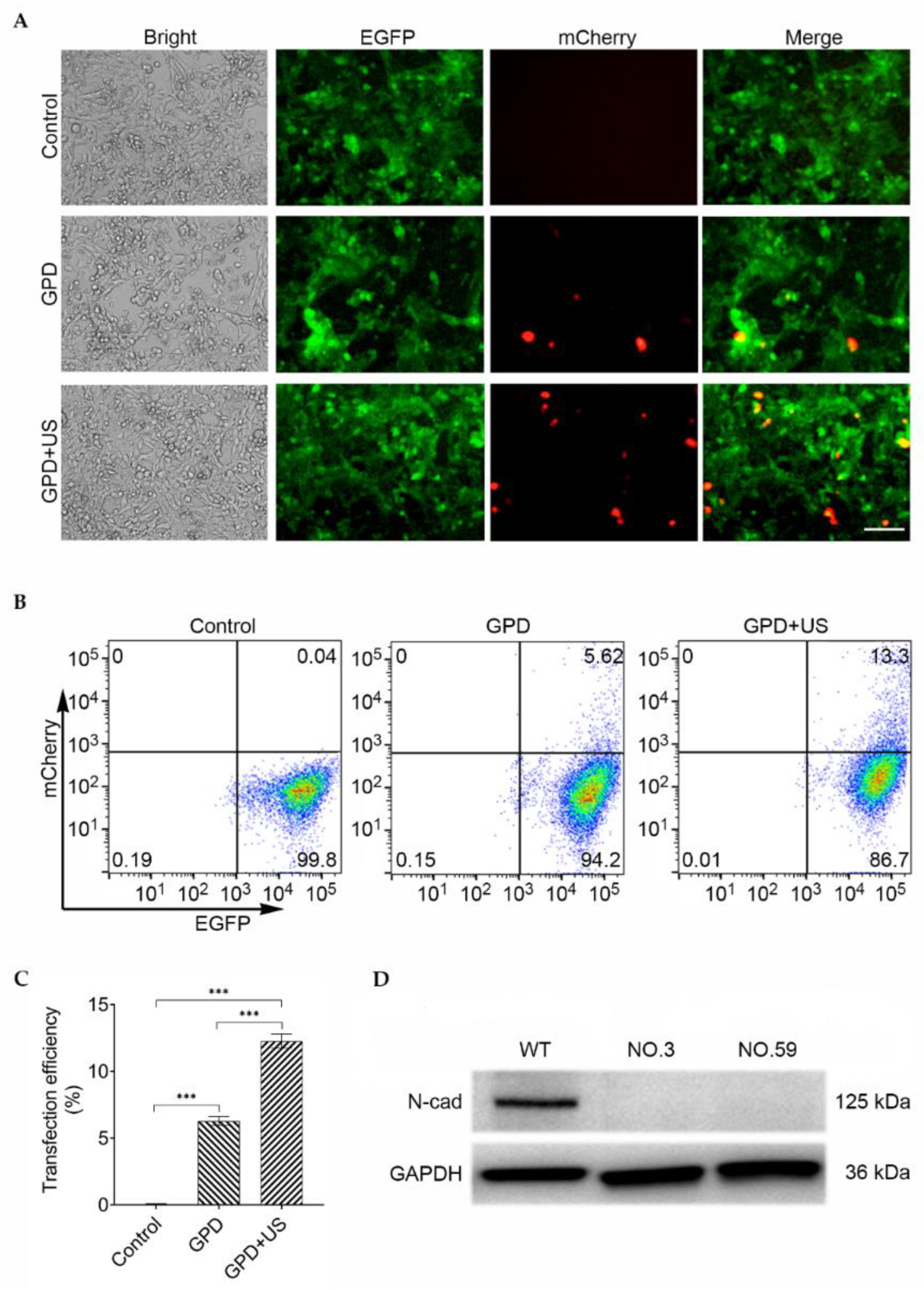 Pharmaceutics 14 01382 g003 Pharmaceutics 14 01382 g003