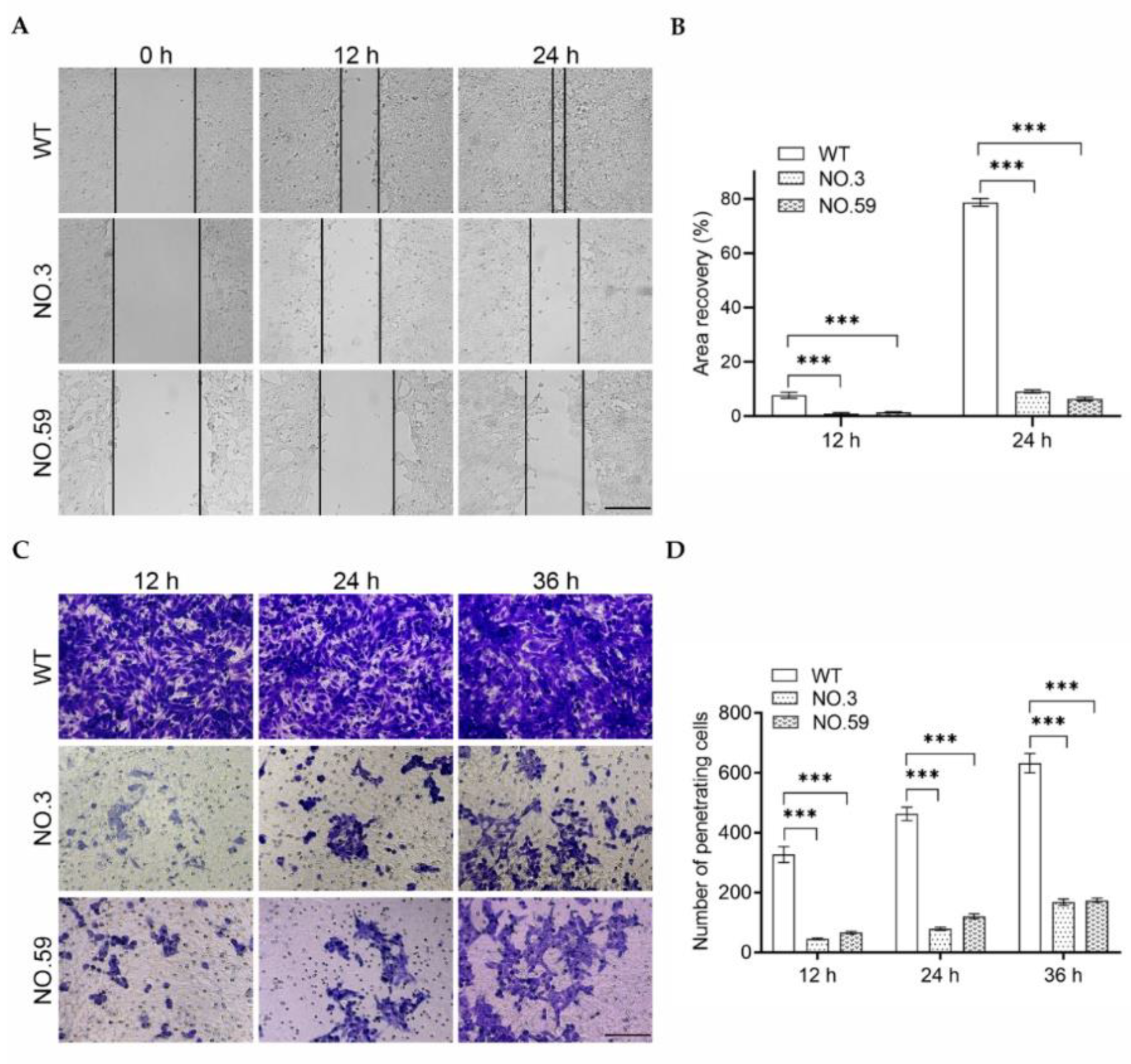 Pharmaceutics 14 01382 g004 Pharmaceutics 14 01382 g004