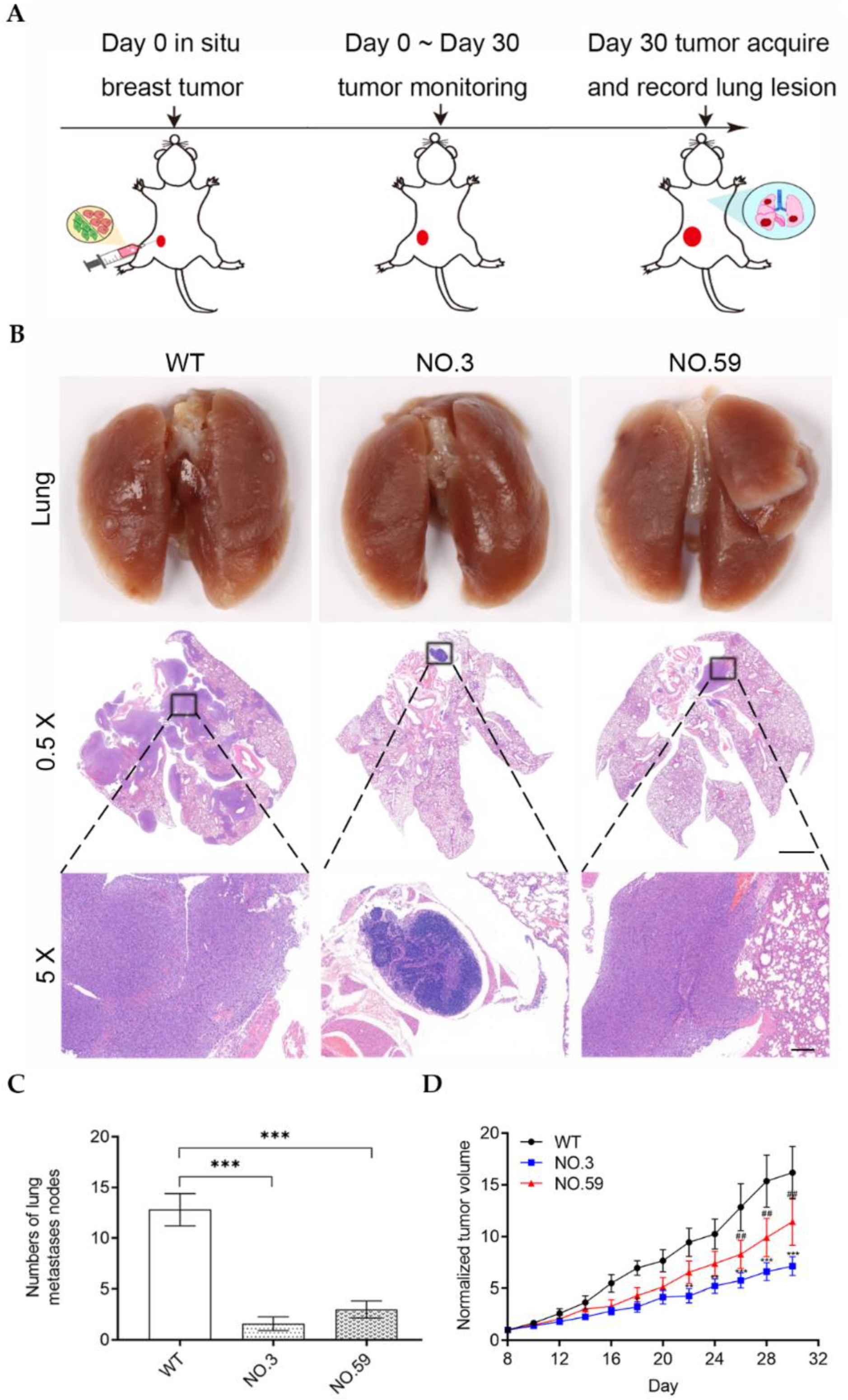 Pharmaceutics 14 01382 g005 Pharmaceutics 14 01382 g005