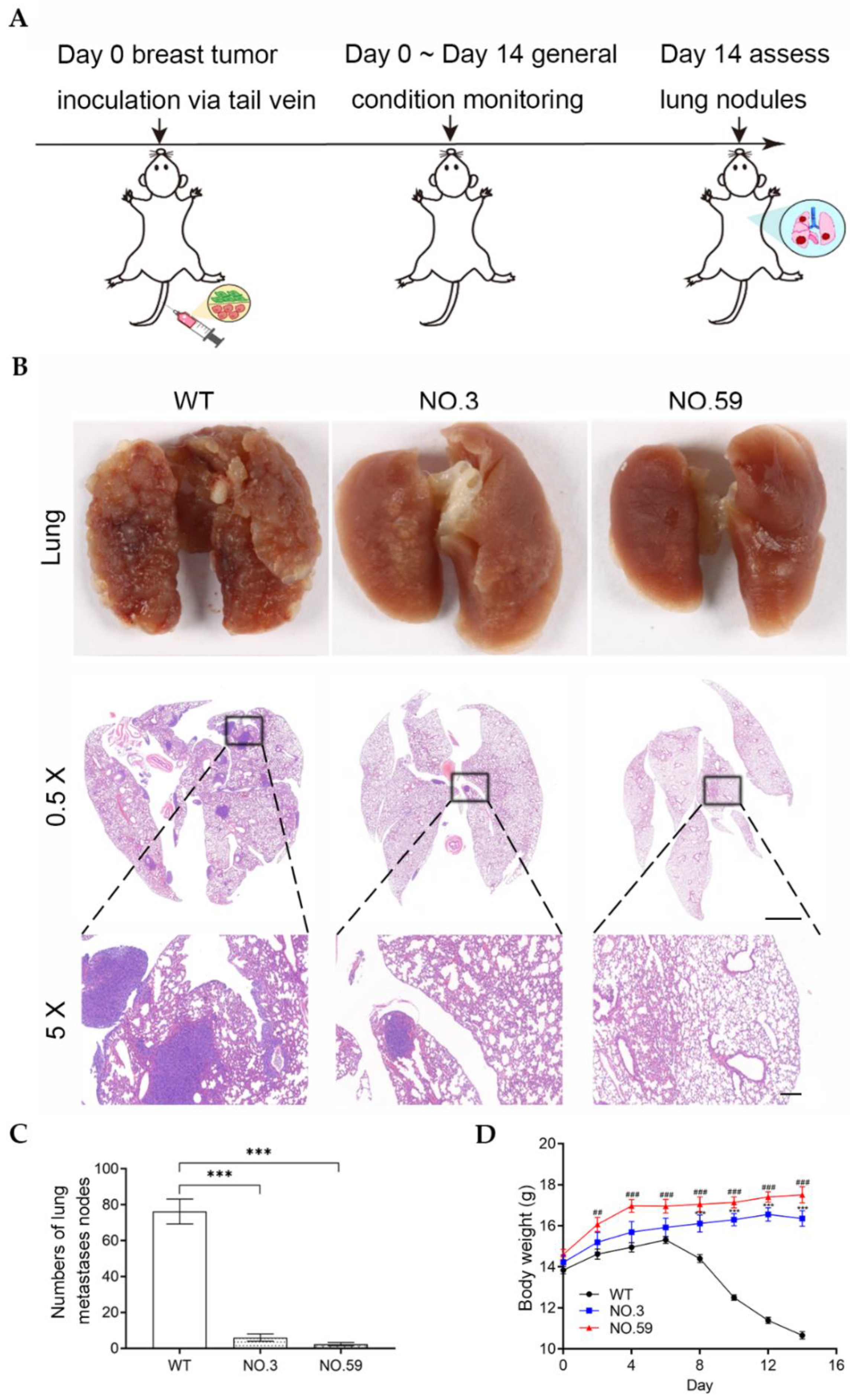 Pharmaceutics 14 01382 g006 Pharmaceutics 14 01382 g006