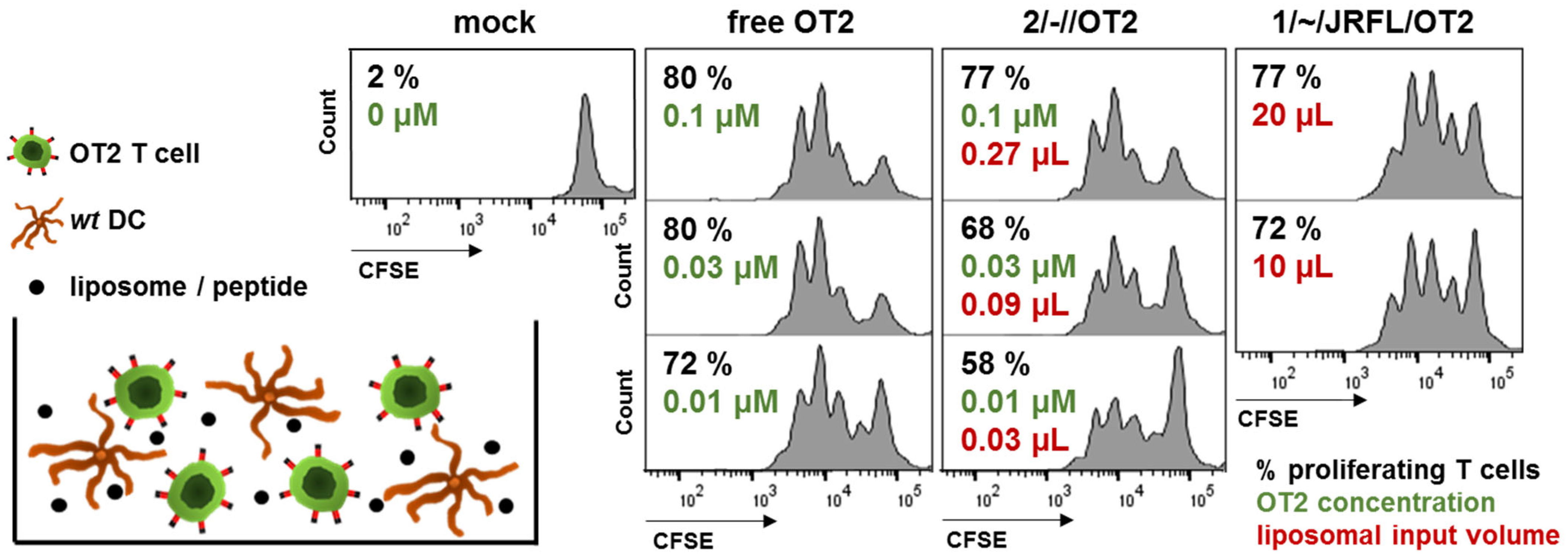 Pharmaceutics 14 01385 g002