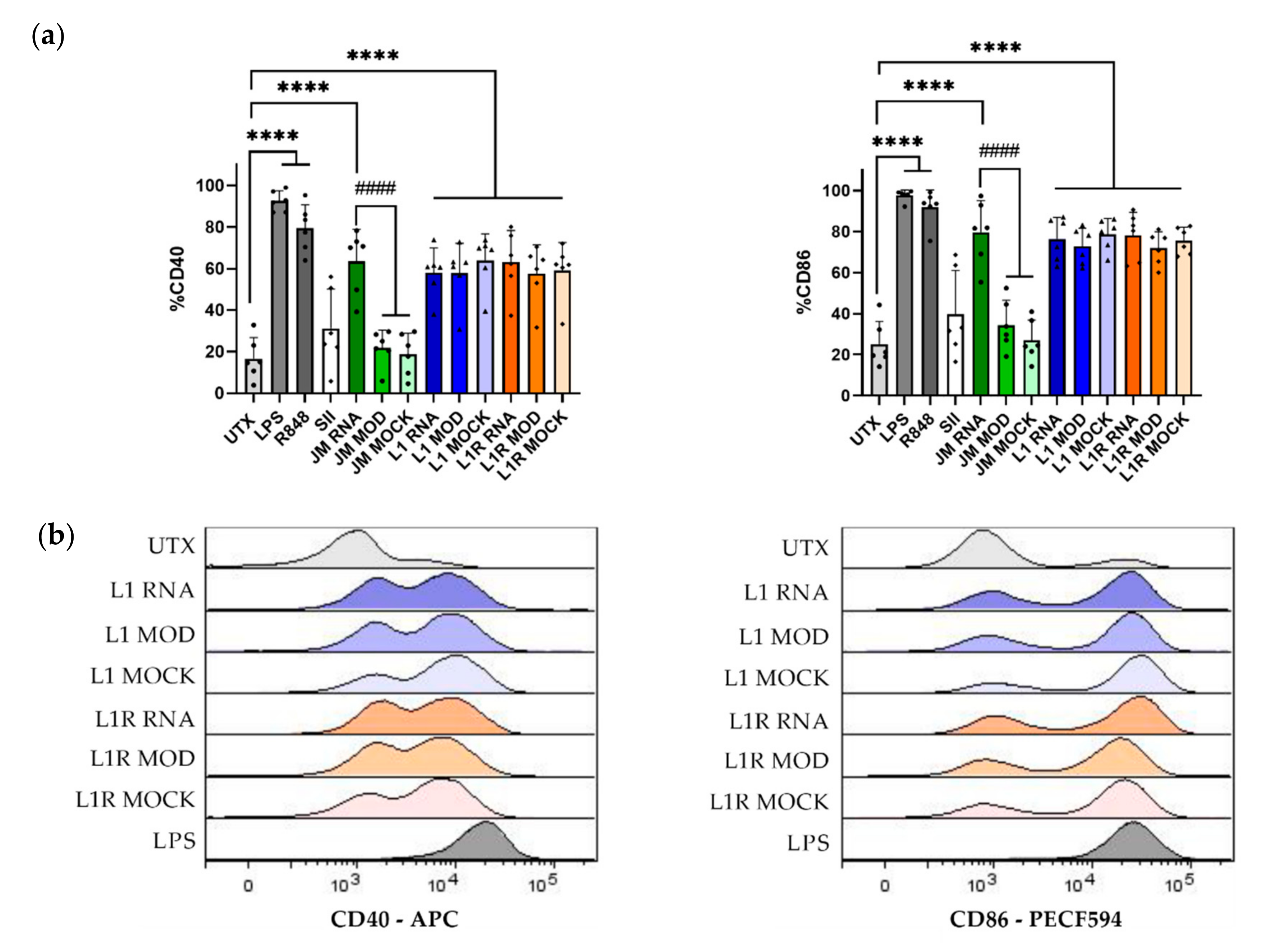 Pharmaceutics 14 01387 g005