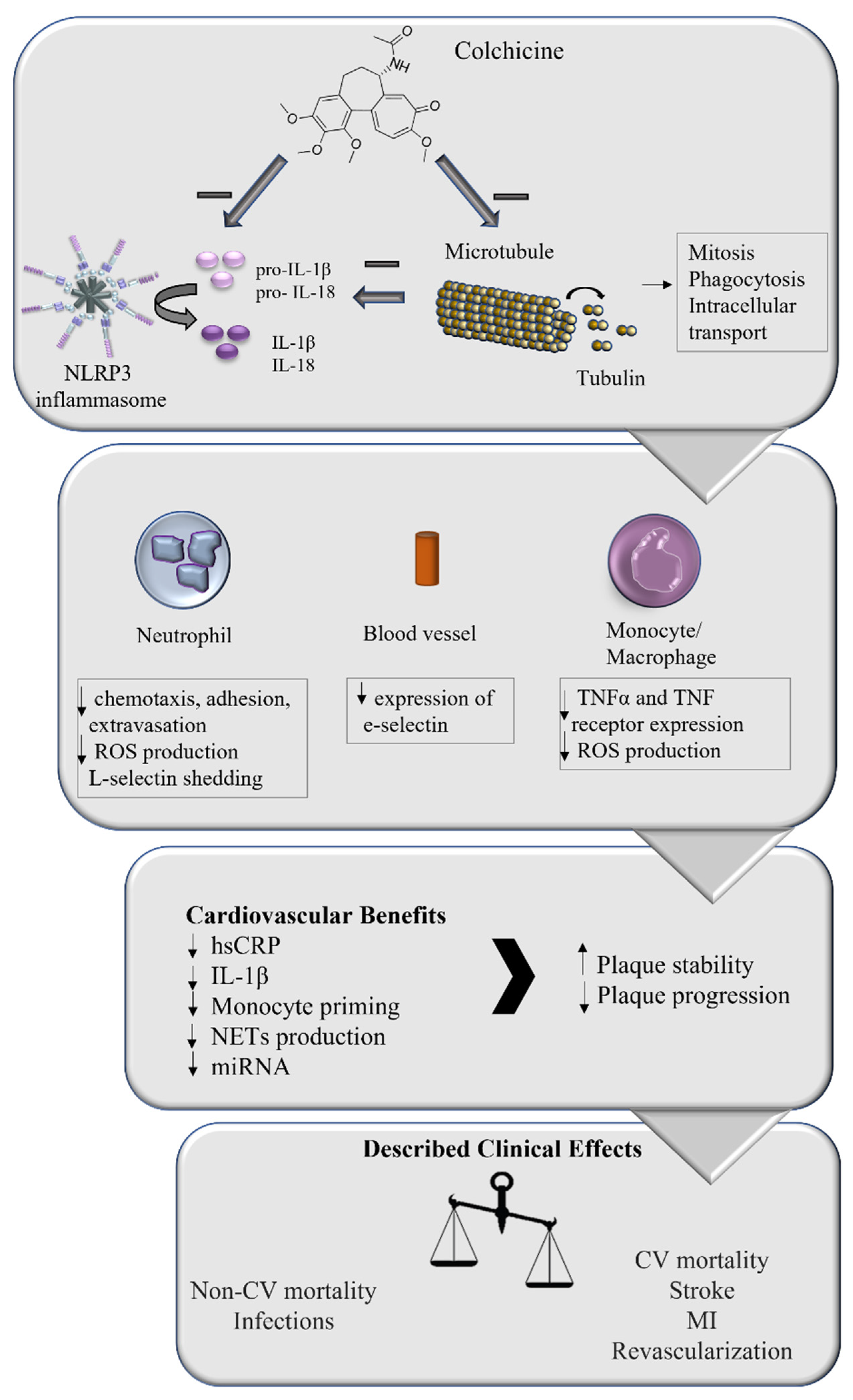 Pharmaceutics 14 01395 g002 550