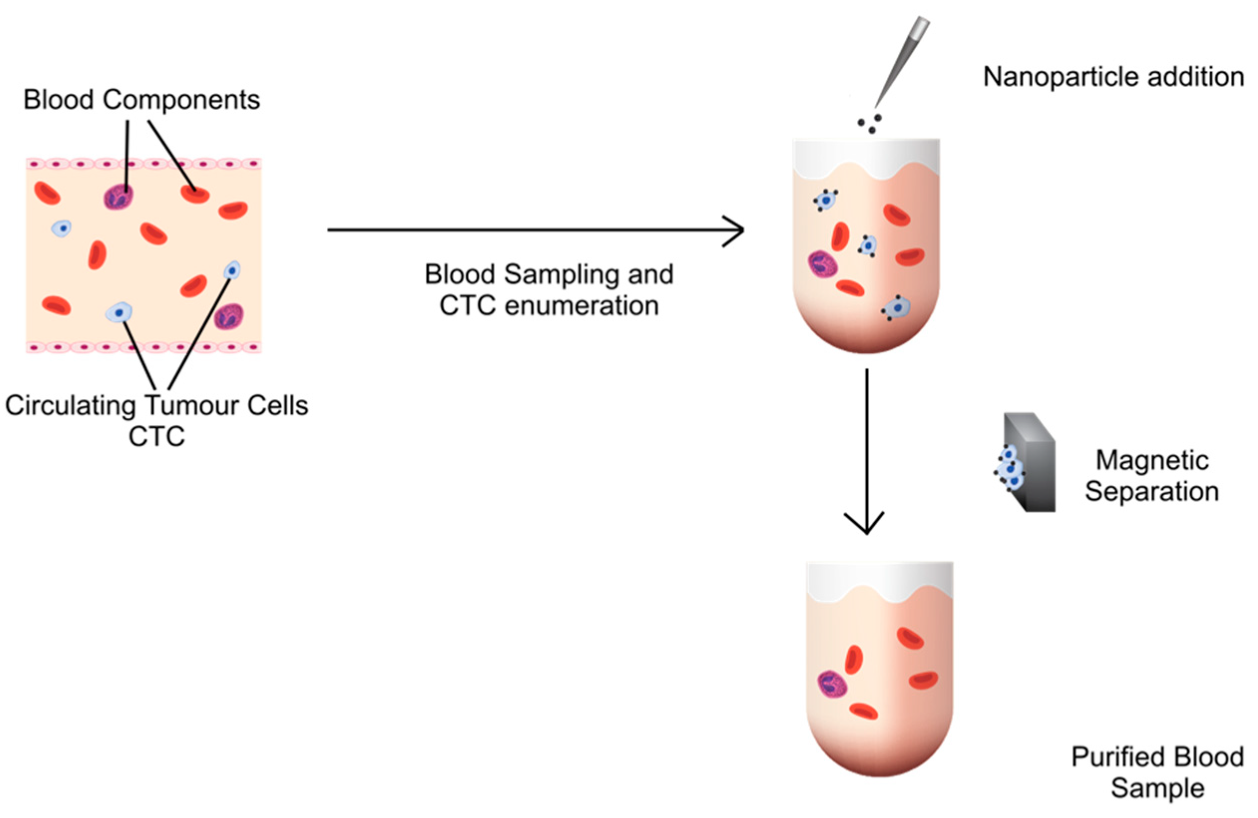 Pharmaceutics 14 01397 g001 550