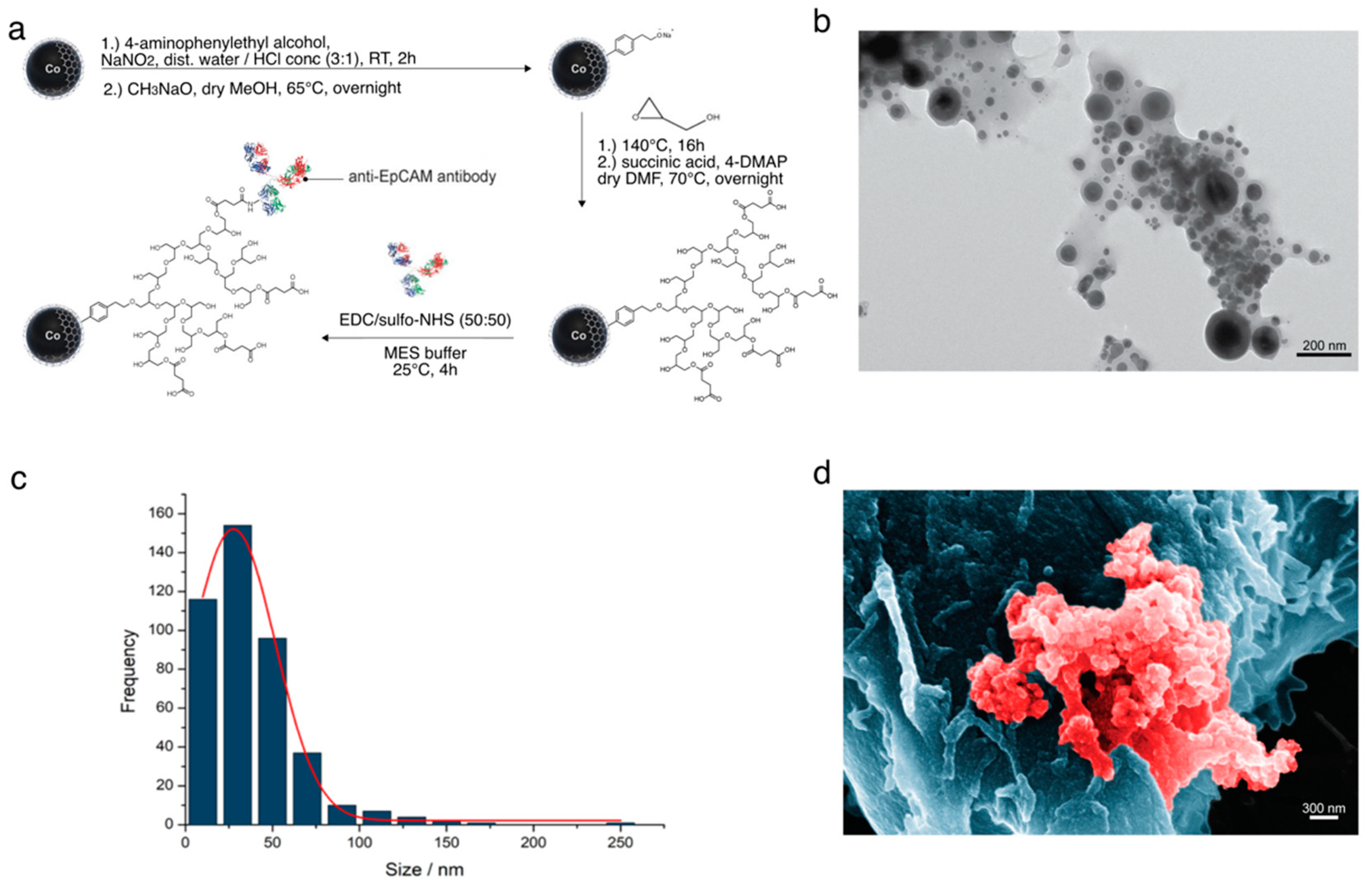 Pharmaceutics 14 01397 g002 550