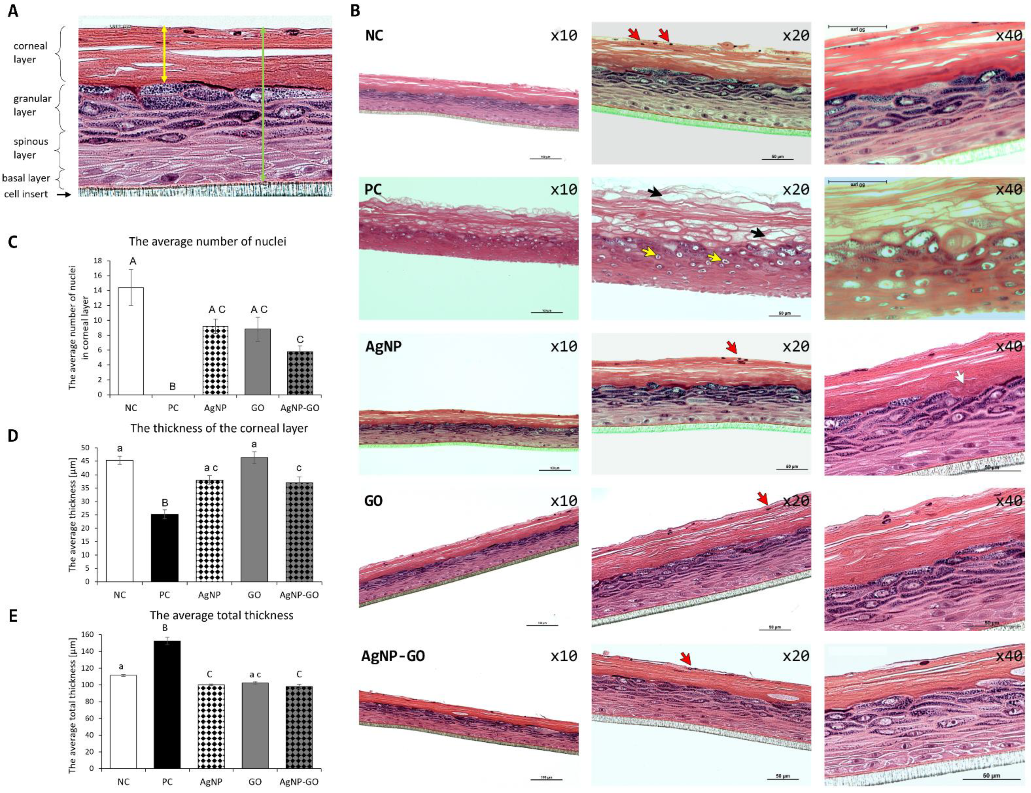 Pharmaceutics 14 01398 g005