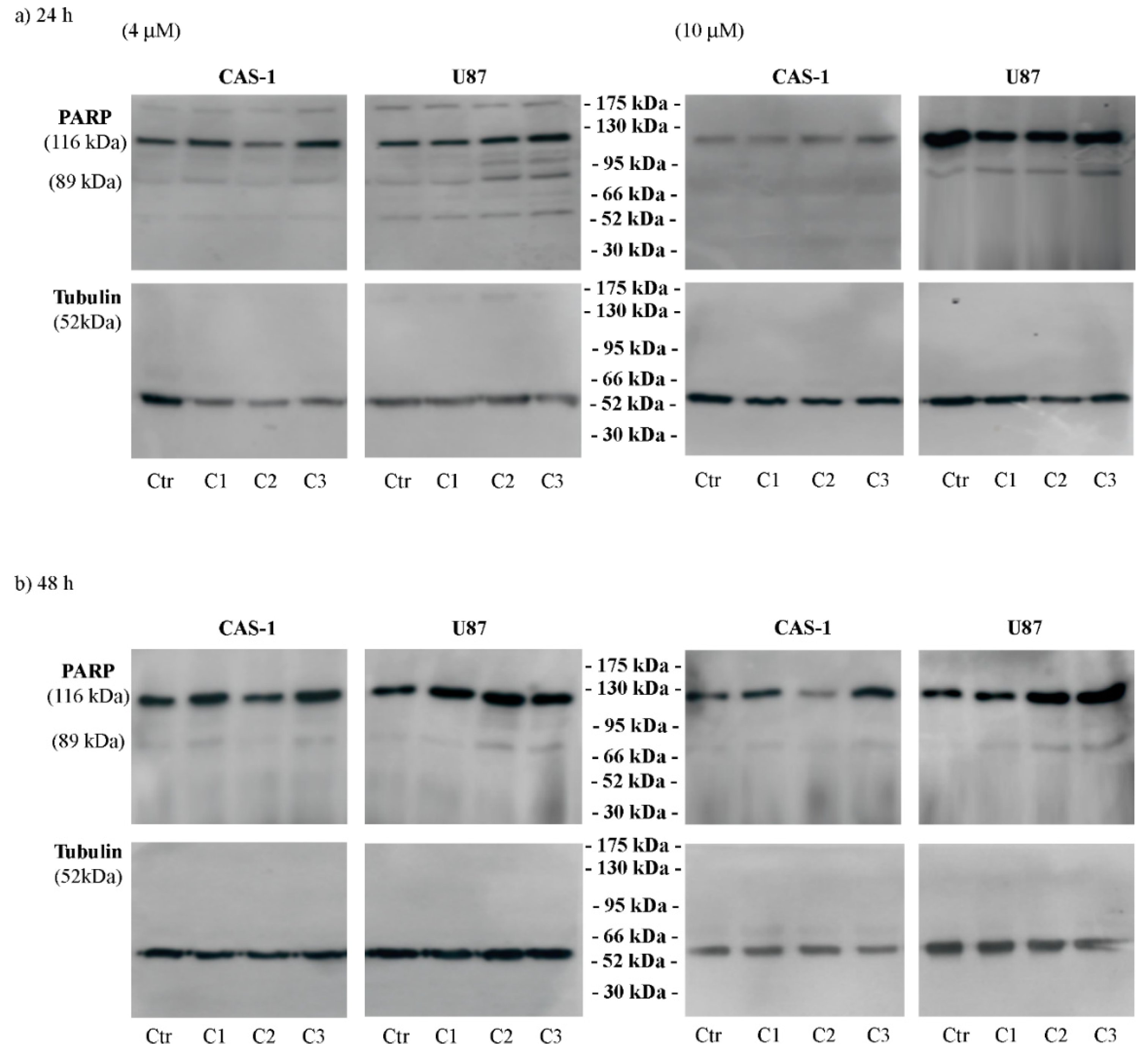 Pharmaceutics 14 01399 g004