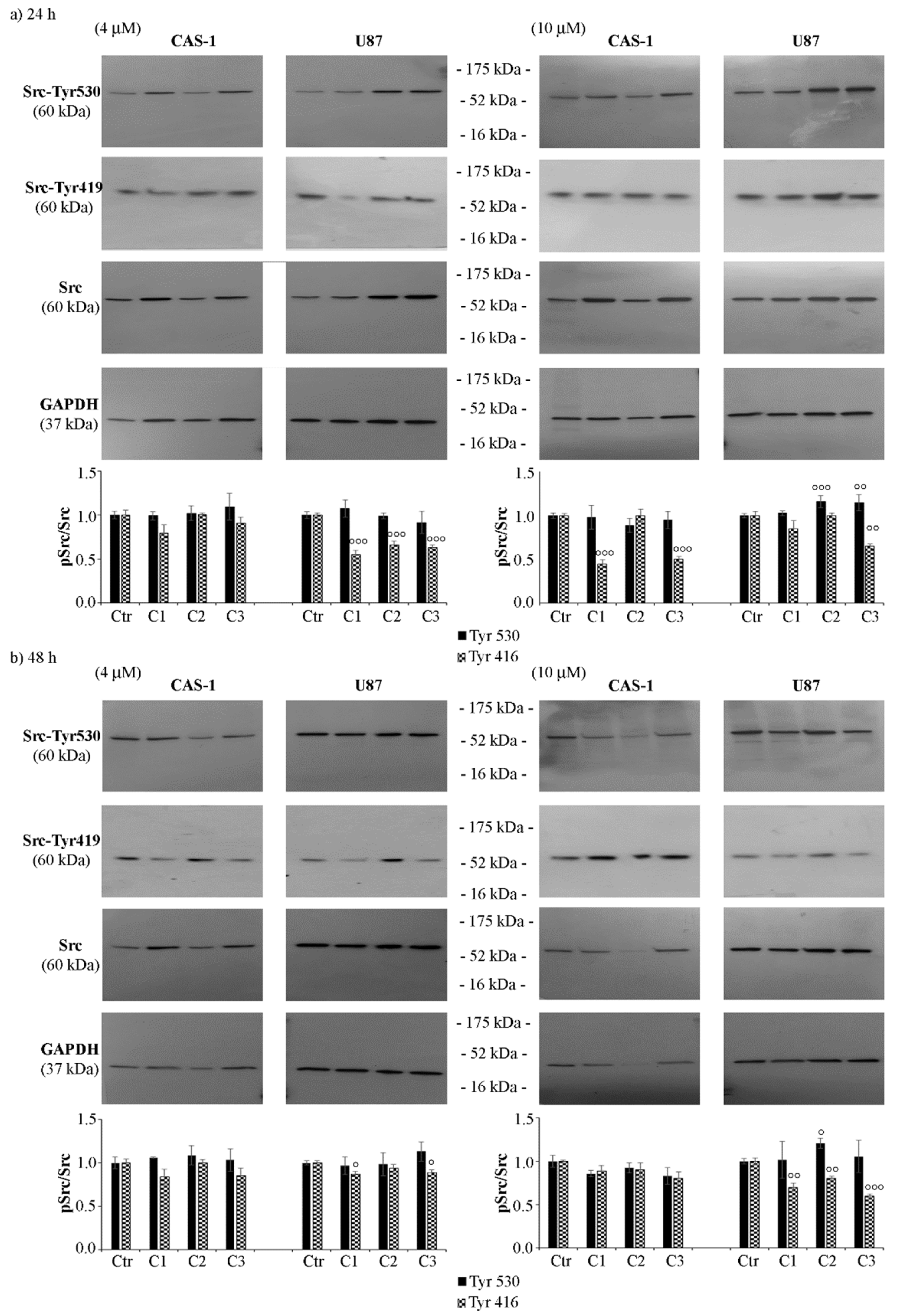 Pharmaceutics 14 01399 g005