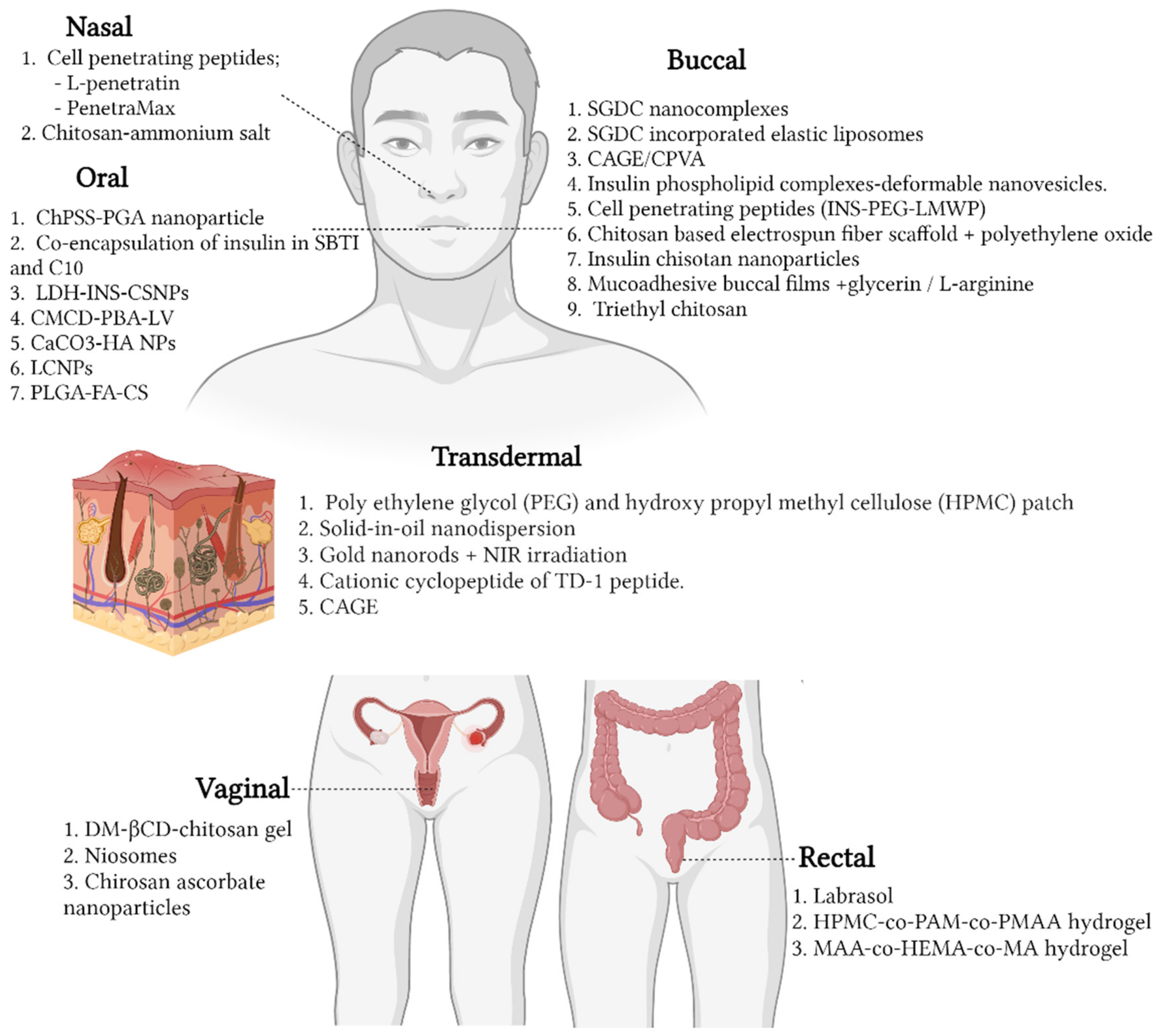 Pharmaceutics 14 01406 g002 Pharmaceutics 14 01406 g002
