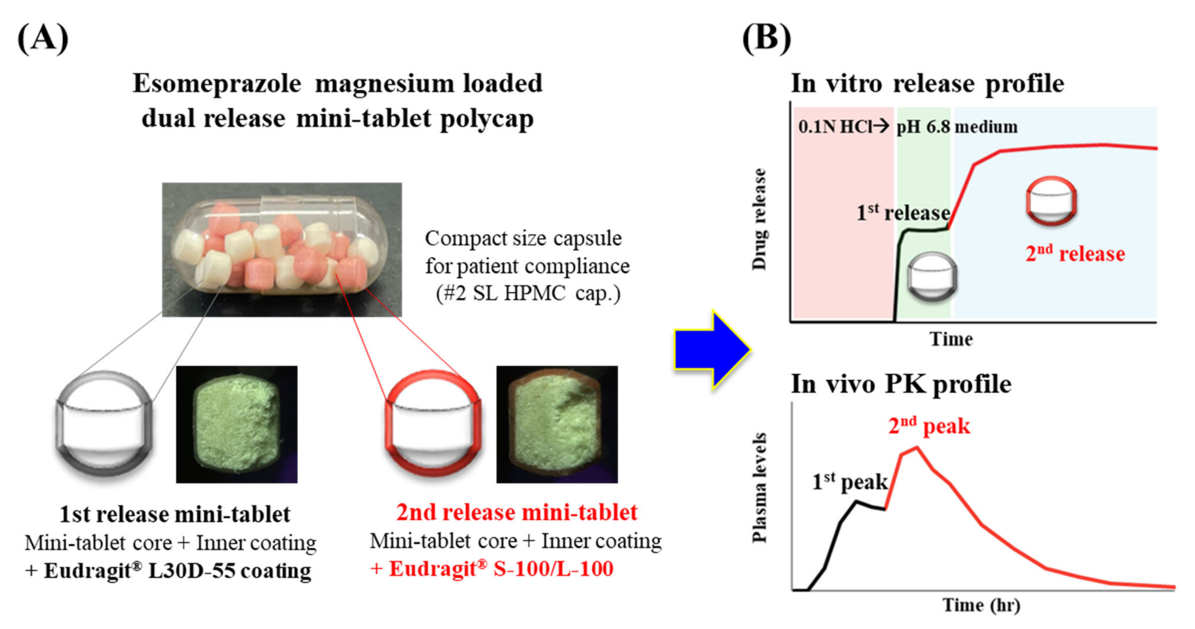 Pharmaceutics 14 01411 g001