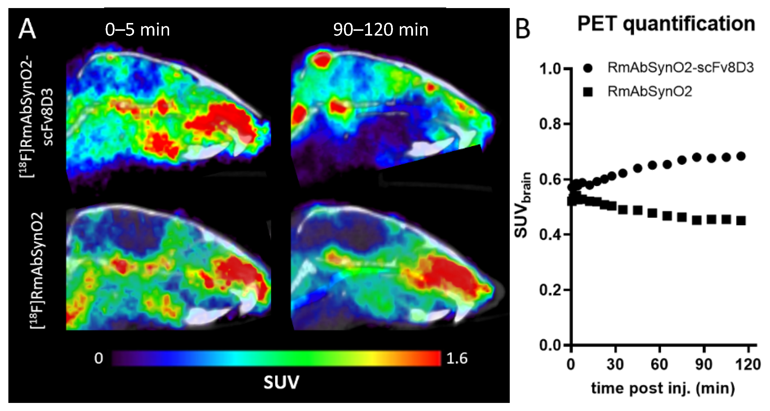 Pharmaceutics 14 01412 g002 550