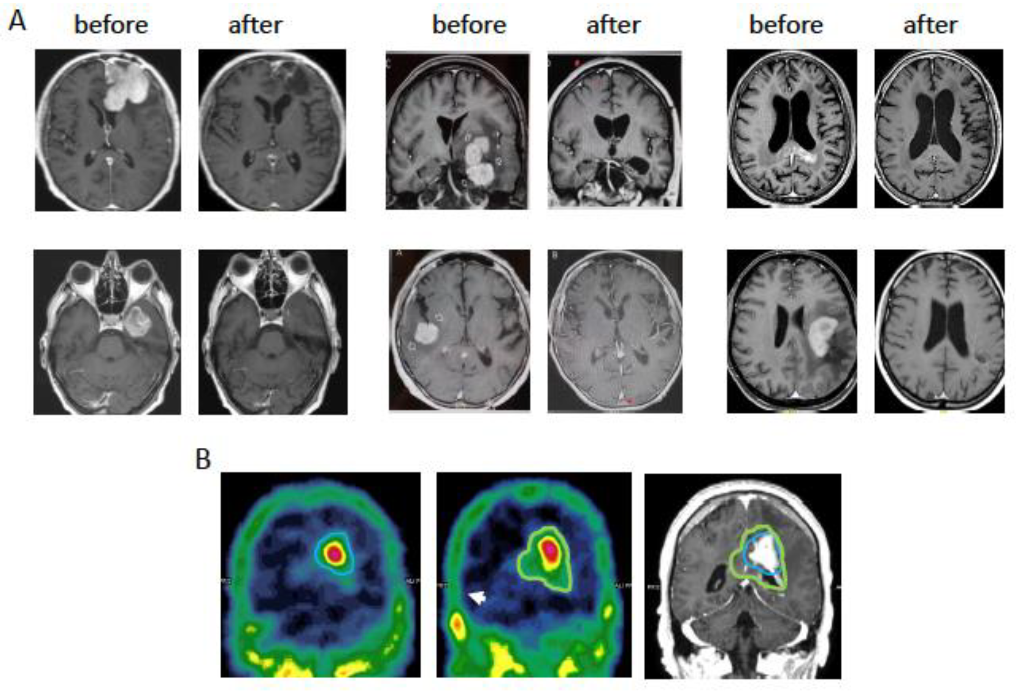Pharmaceutics 14 01414 g002 550