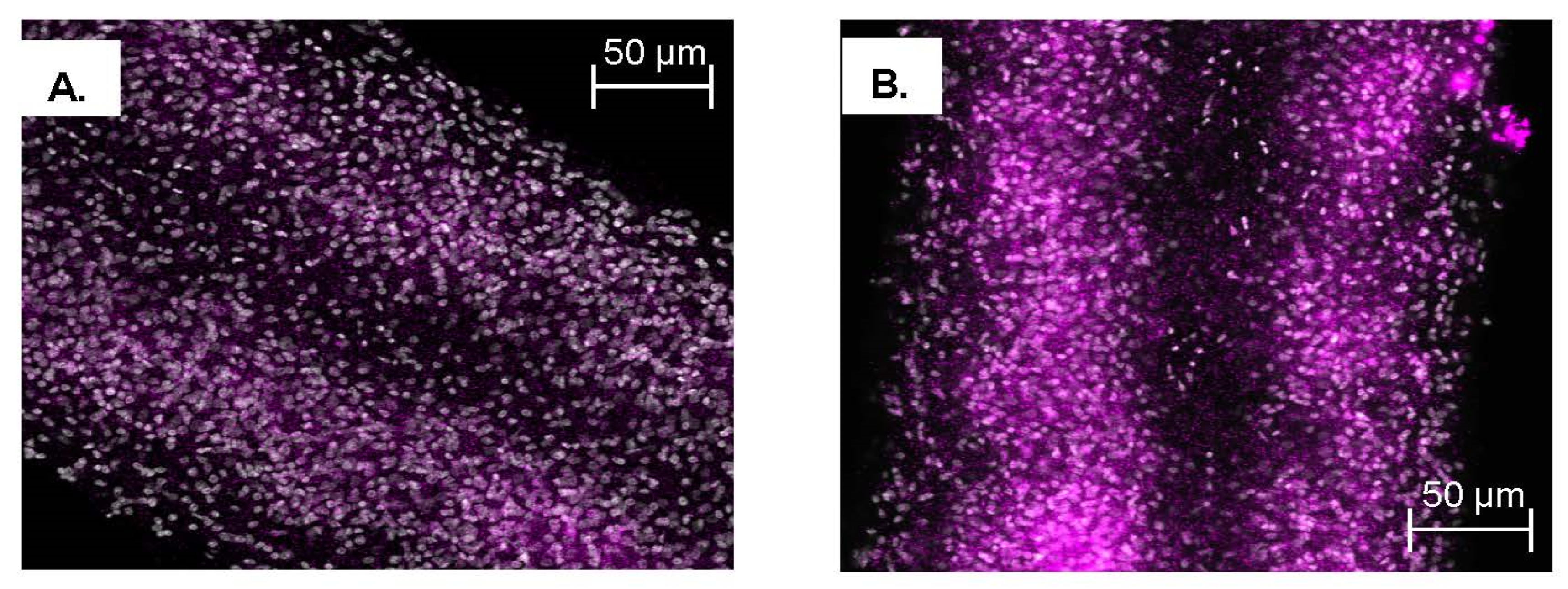 Pharmaceutics 14 01416 g011