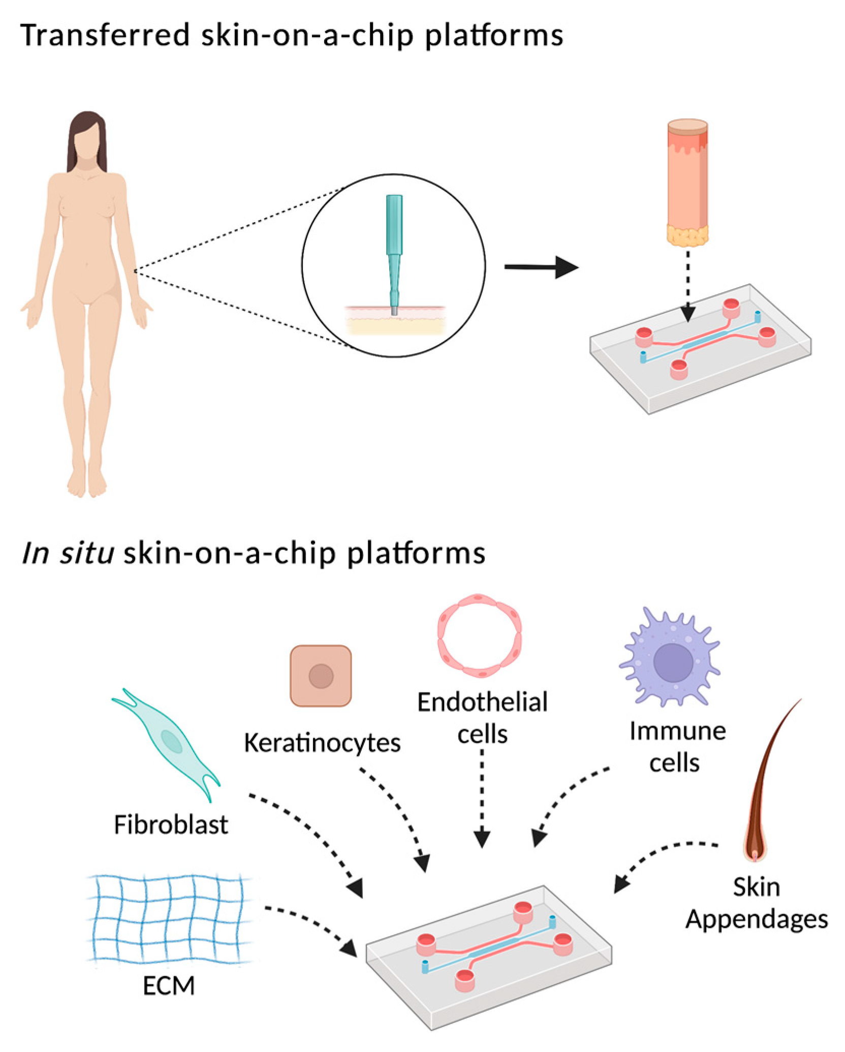 Pharmaceutics 14 01417 g002