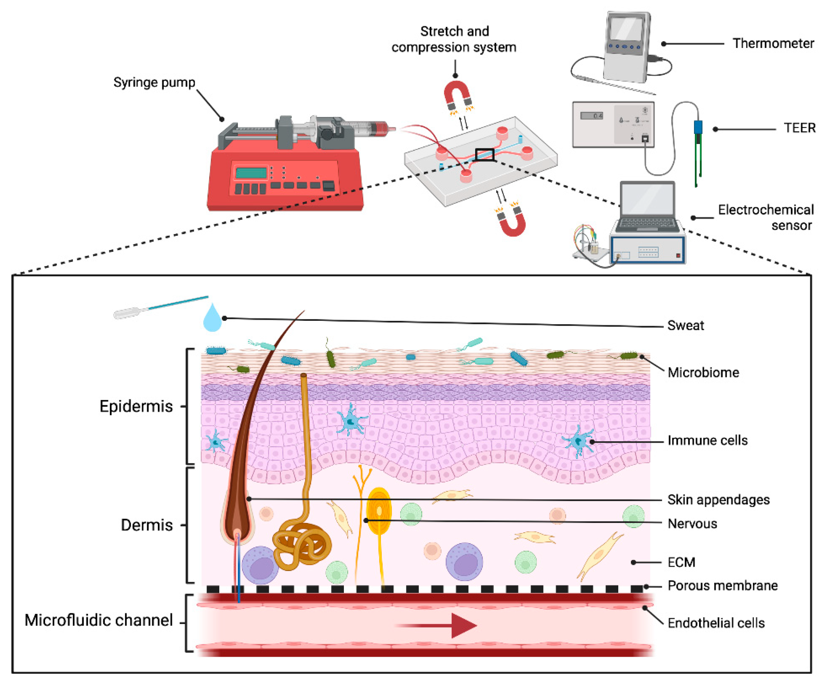Pharmaceutics 14 01417 g006