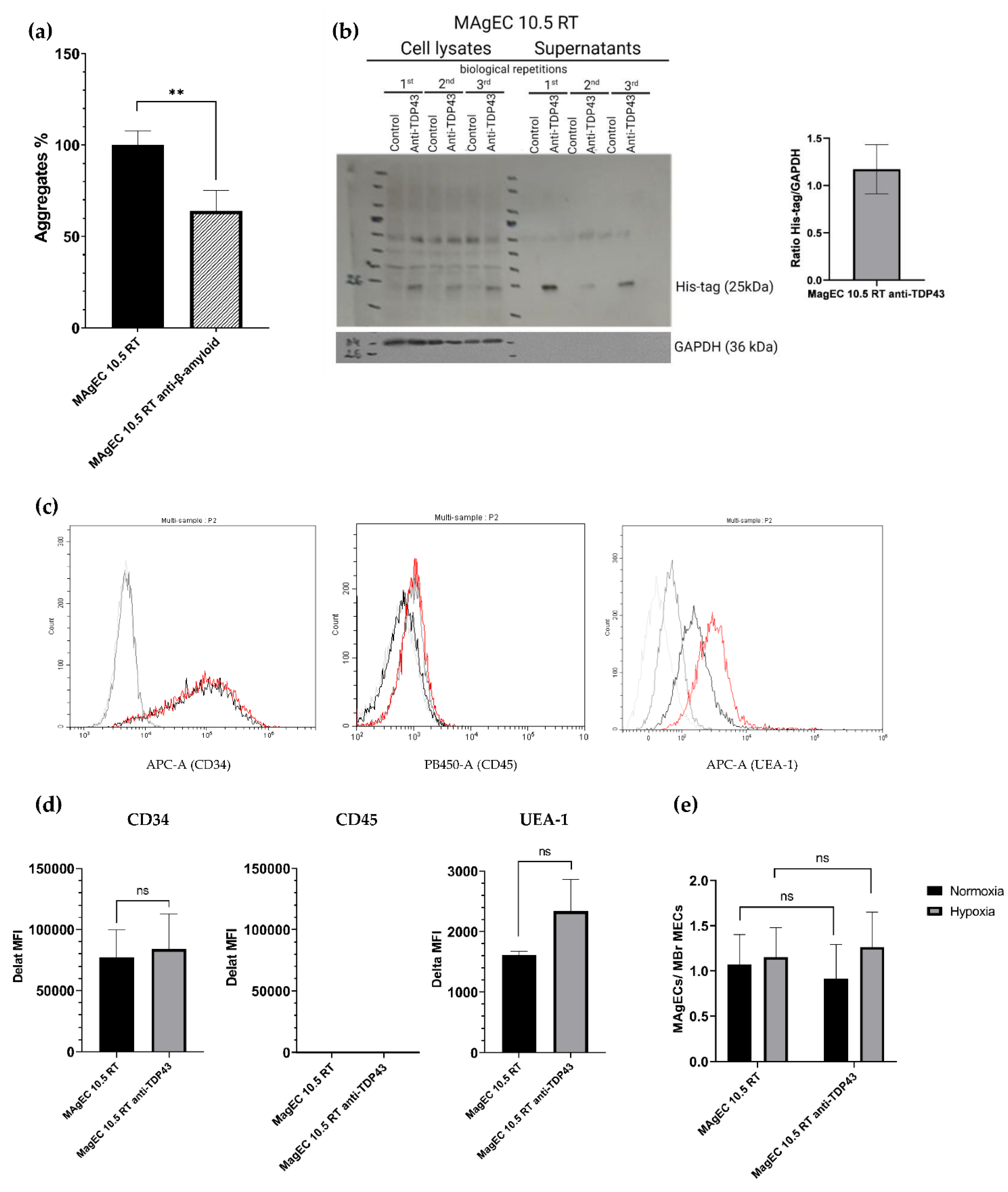 Pharmaceutics 14 01418 g004