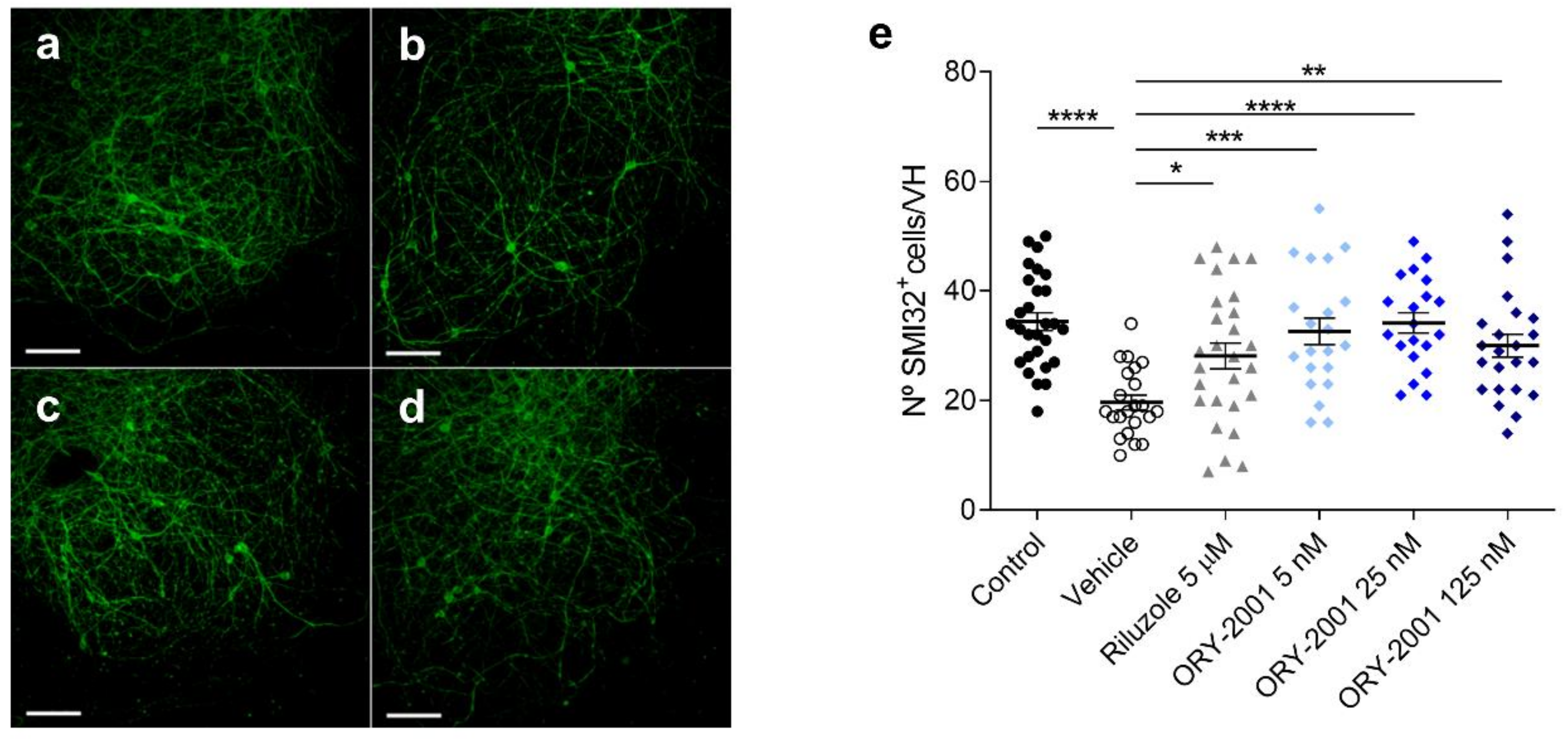 Pharmaceutics 14 01420 g005 Pharmaceutics 14 01420 g005