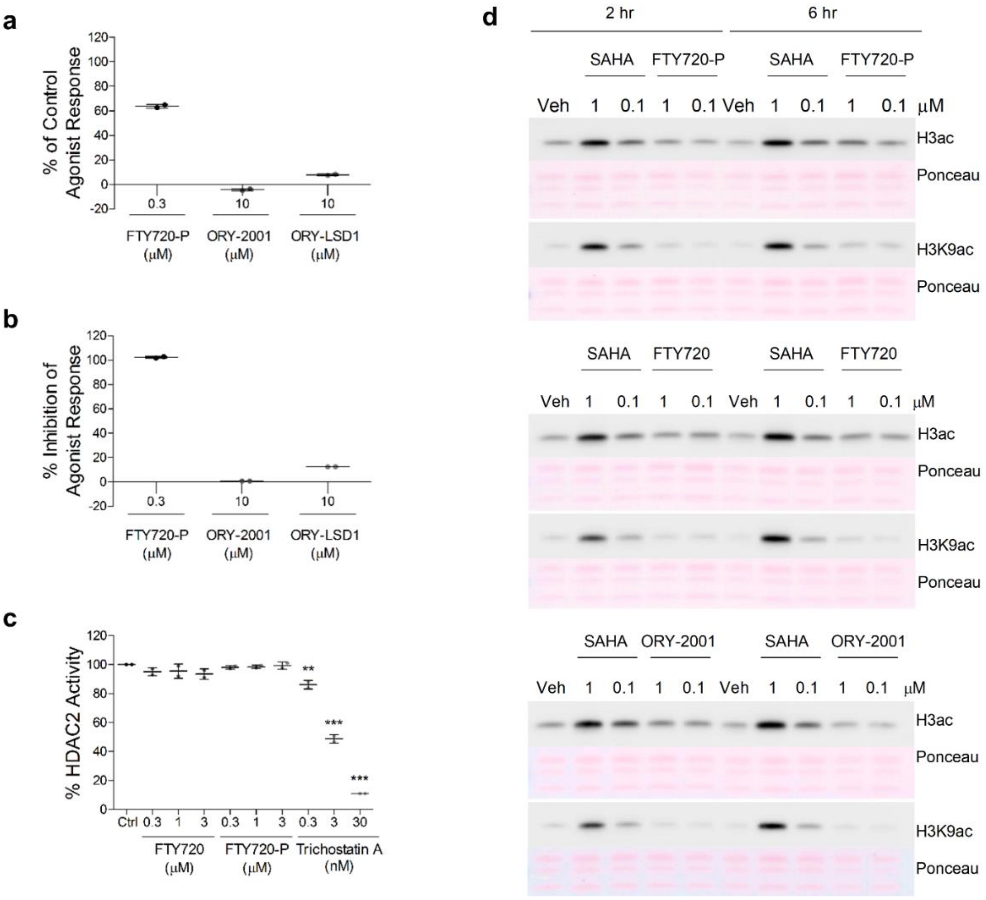 Pharmaceutics 14 01420 g010 Pharmaceutics 14 01420 g010