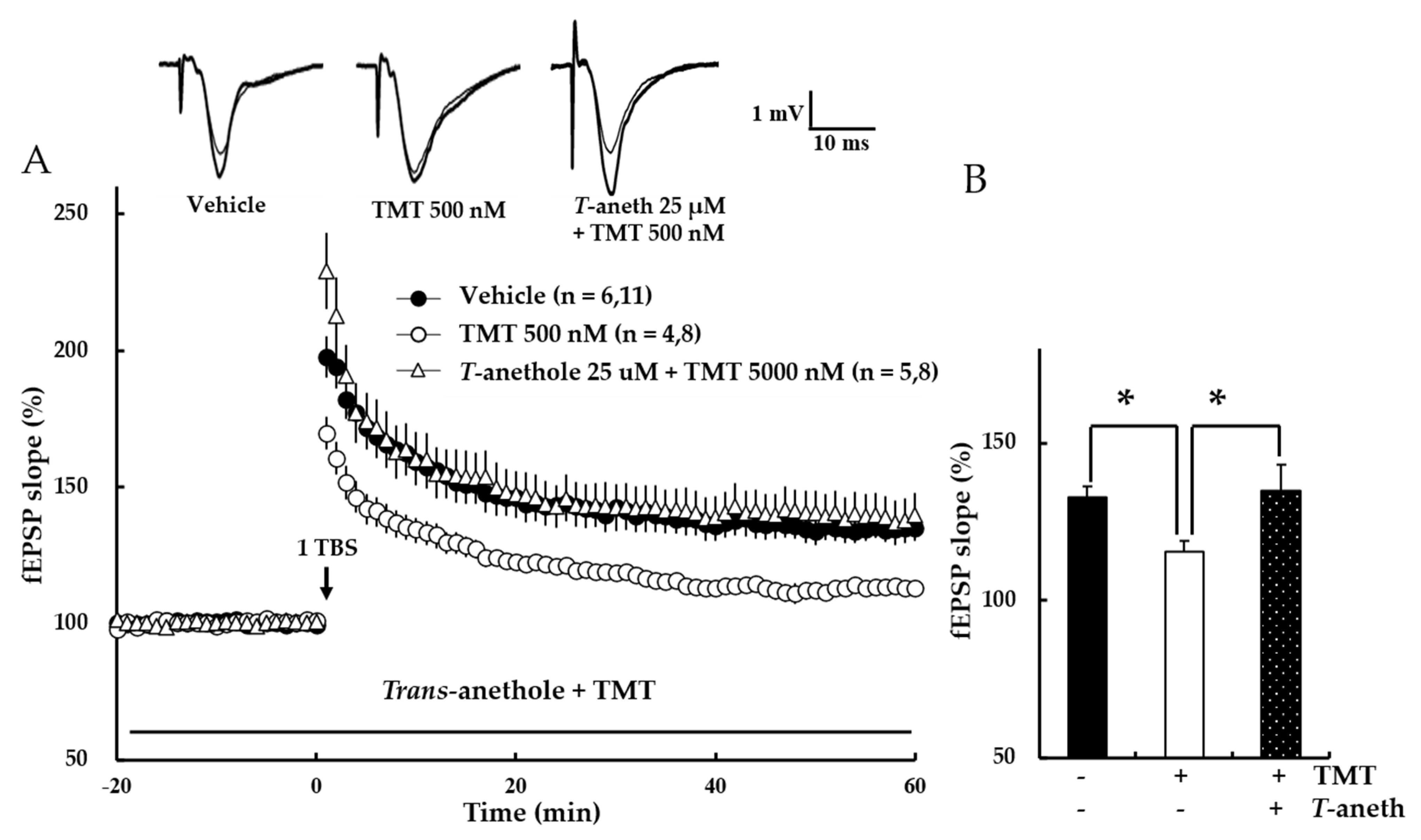 Pharmaceutics 14 01422 g008