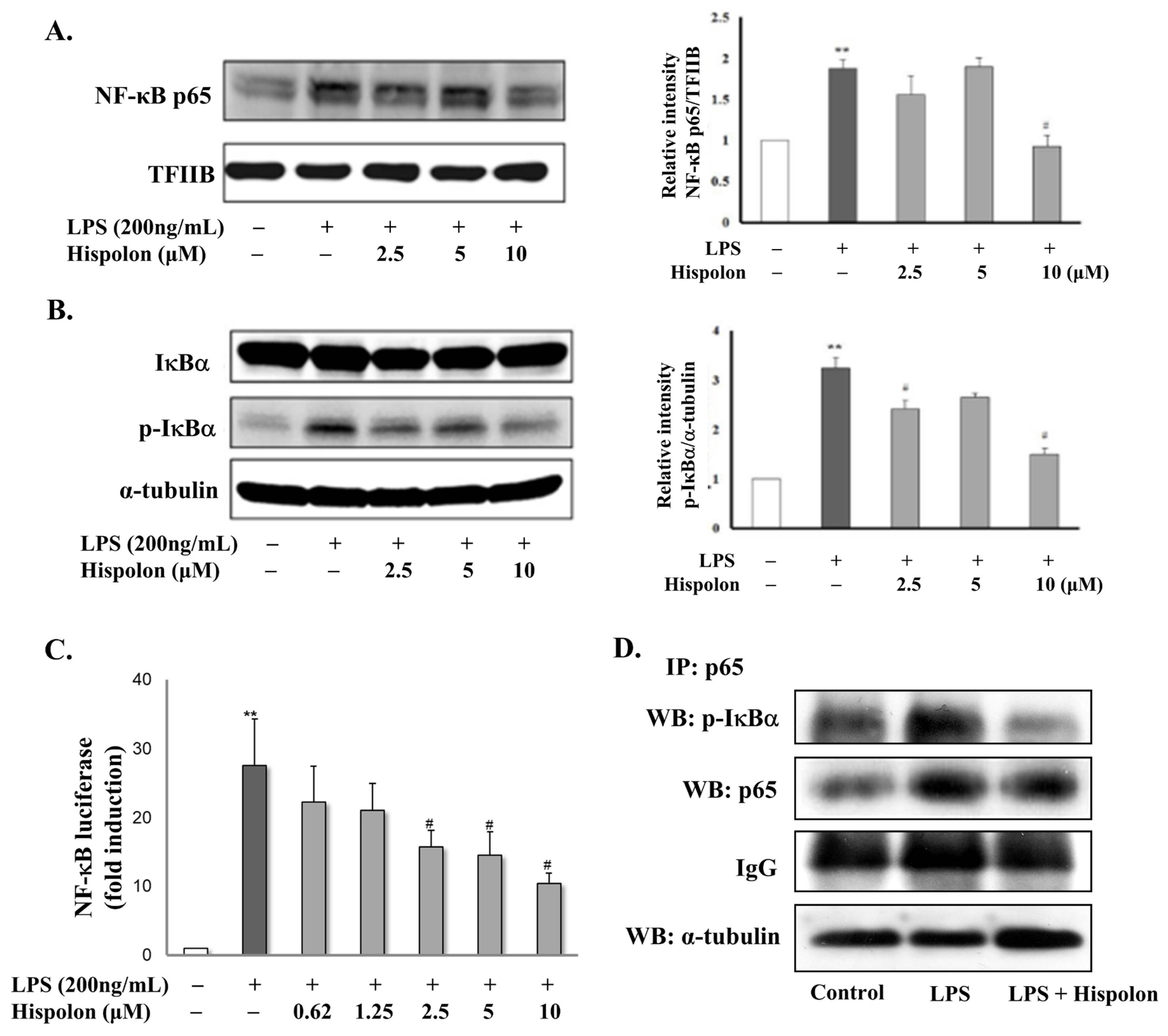 Pharmaceutics 14 01423 g004 Pharmaceutics 14 01423 g004