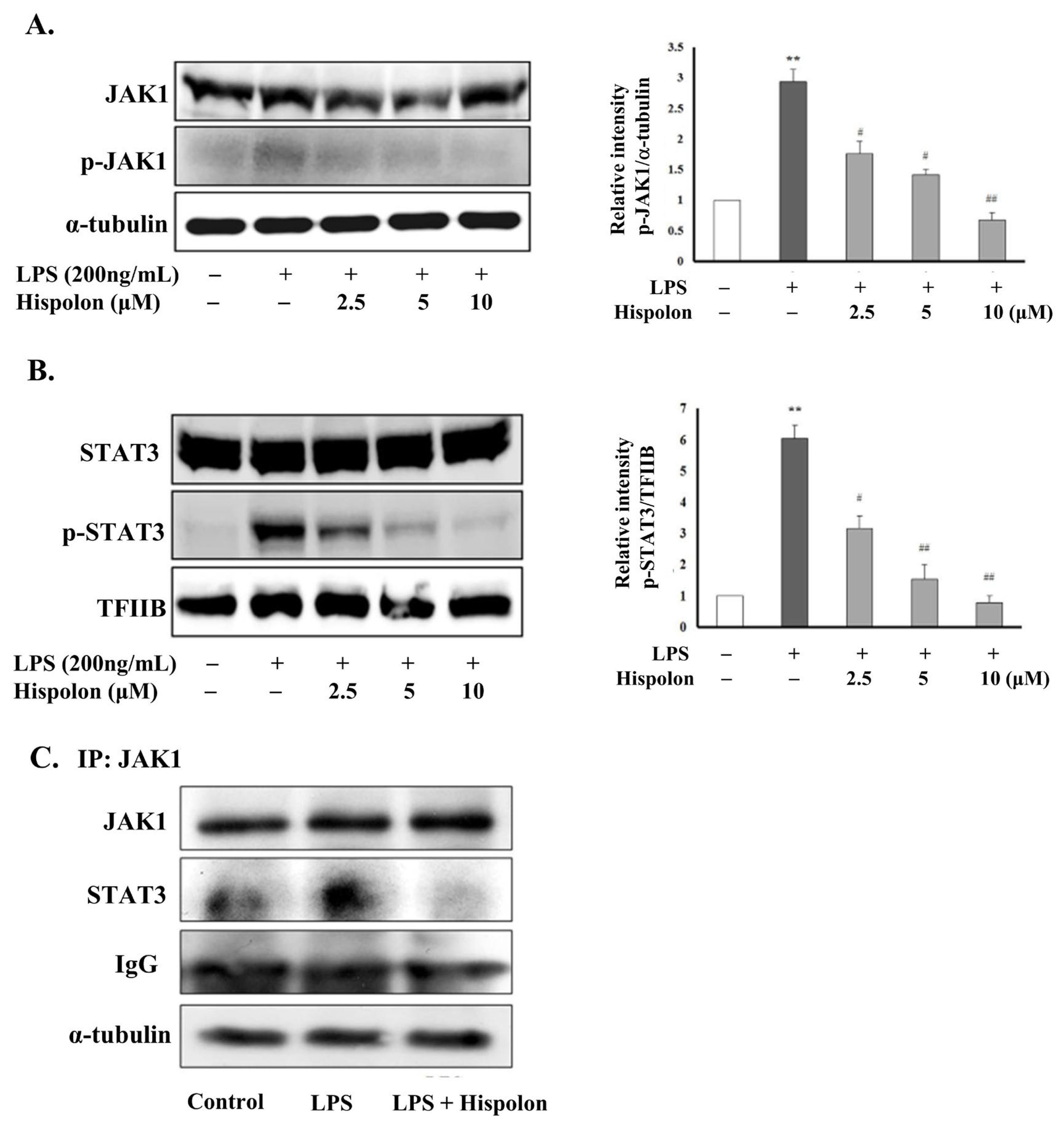 Pharmaceutics 14 01423 g005 Pharmaceutics 14 01423 g005