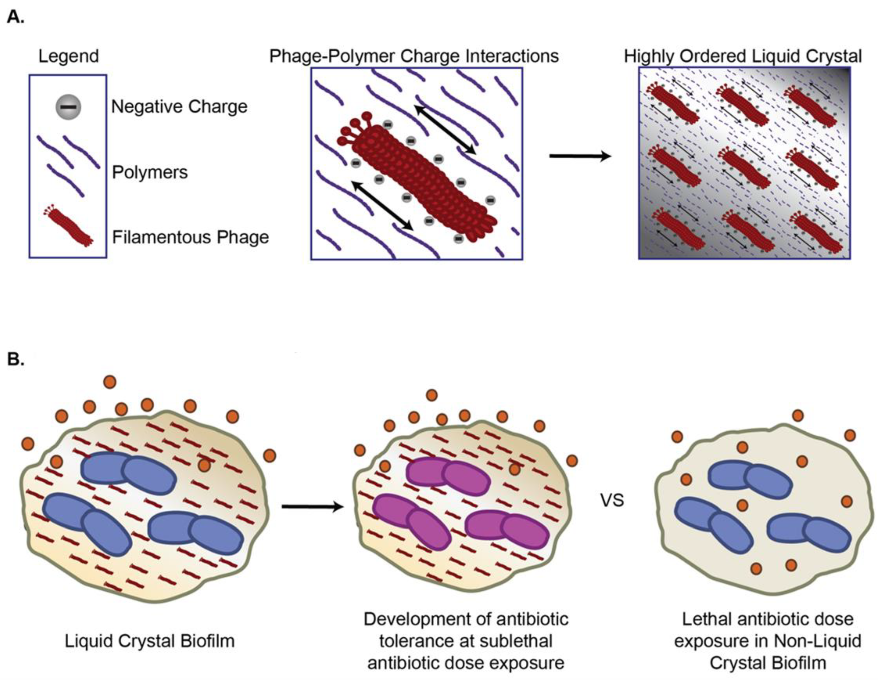Pharmaceutics 14 01425 g002 Pharmaceutics 14 01425 g002