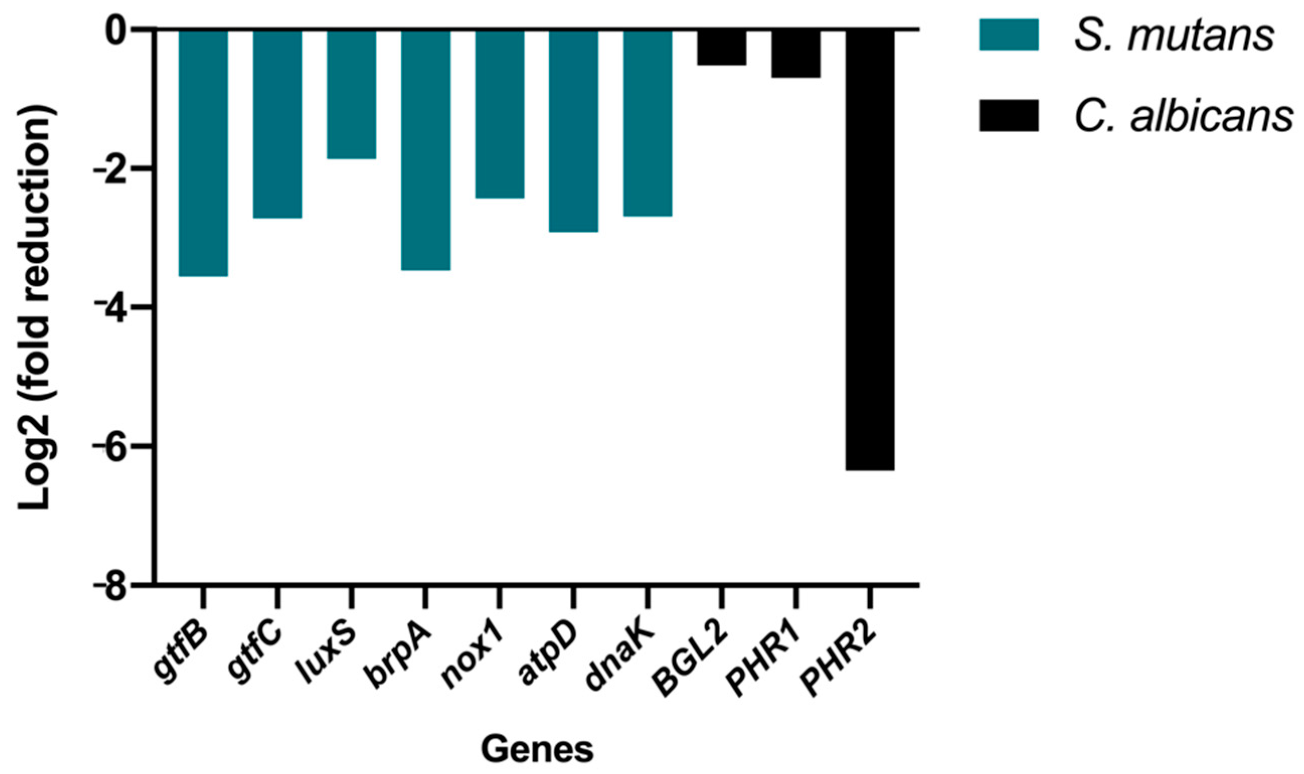 Pharmaceutics 14 01428 g008 550