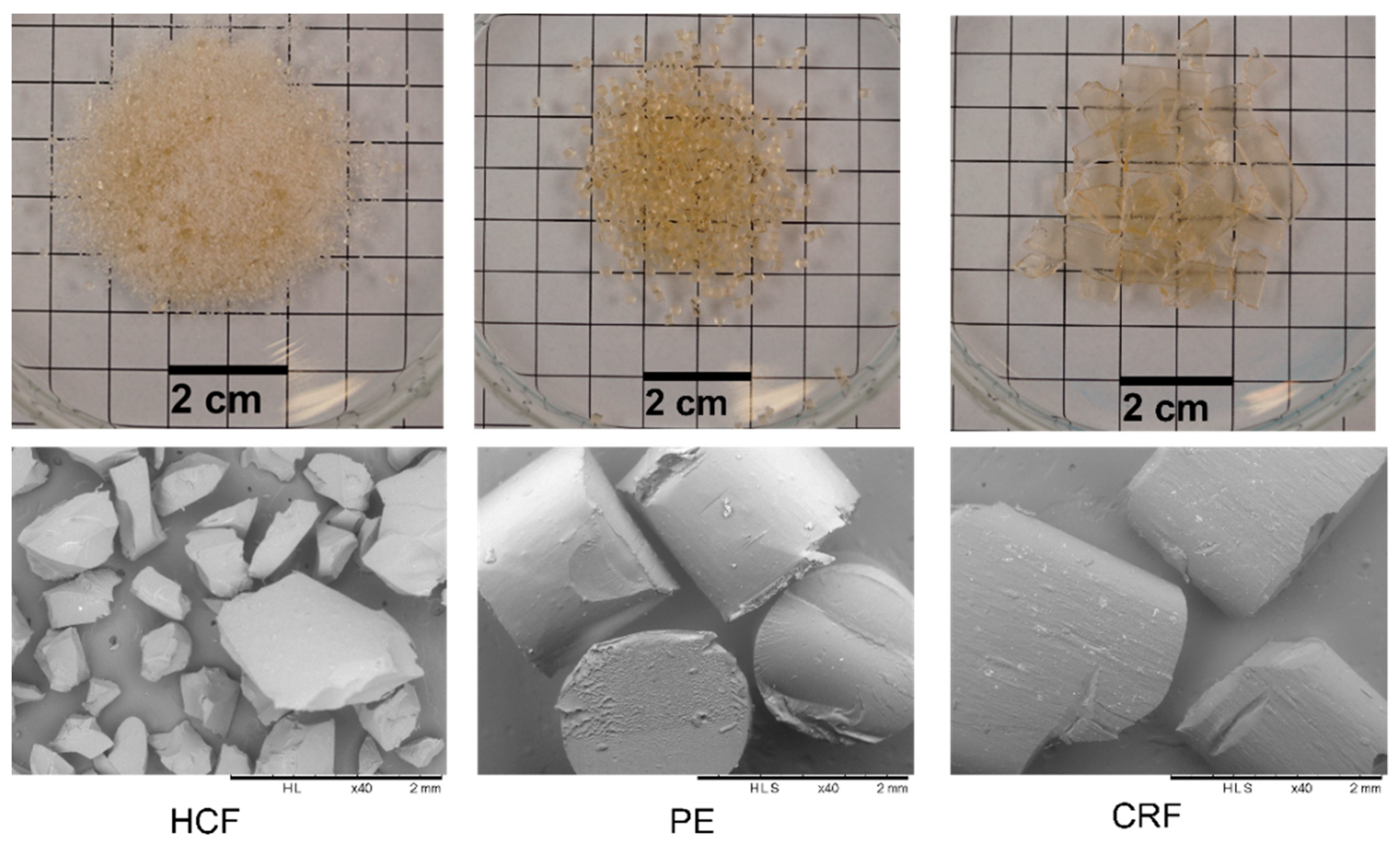 Pharmaceutics 14 01429 g003