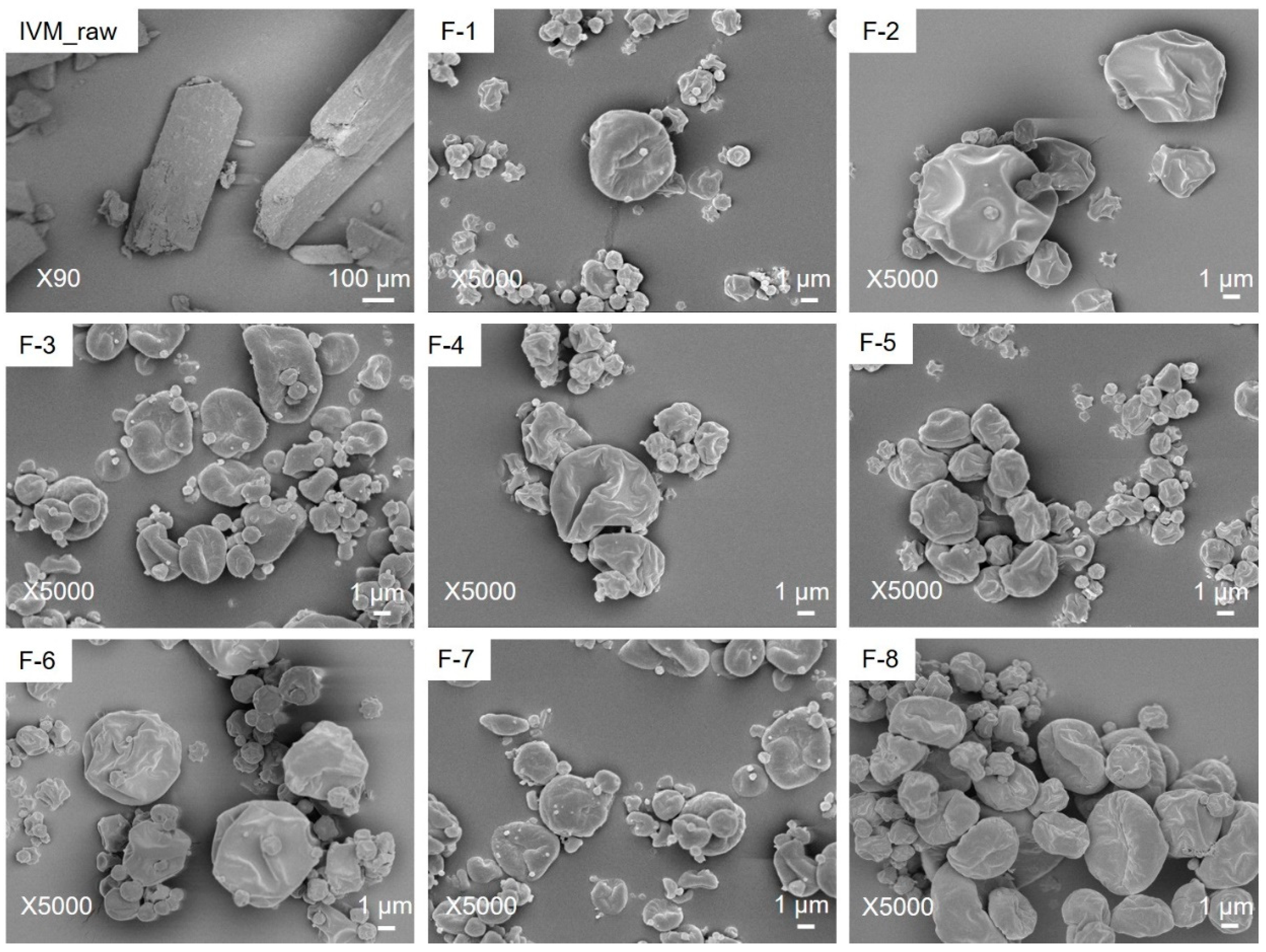 Pharmaceutics 14 01432 g002