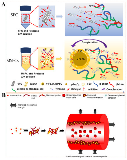 Vascular Repair by Grafting Based on Magnetic Nanoparticles
