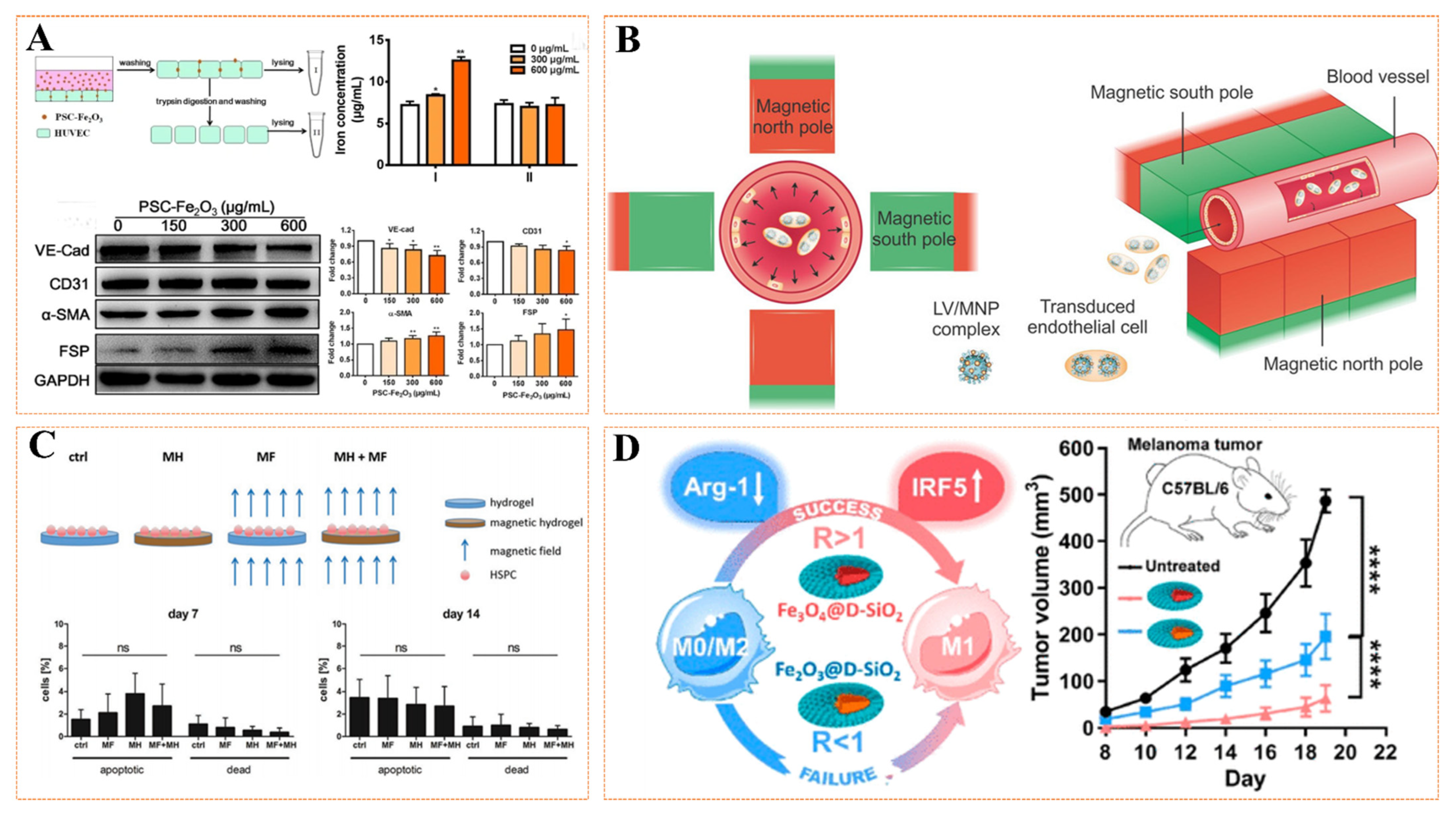 Pharmaceutics 14 01433 g004