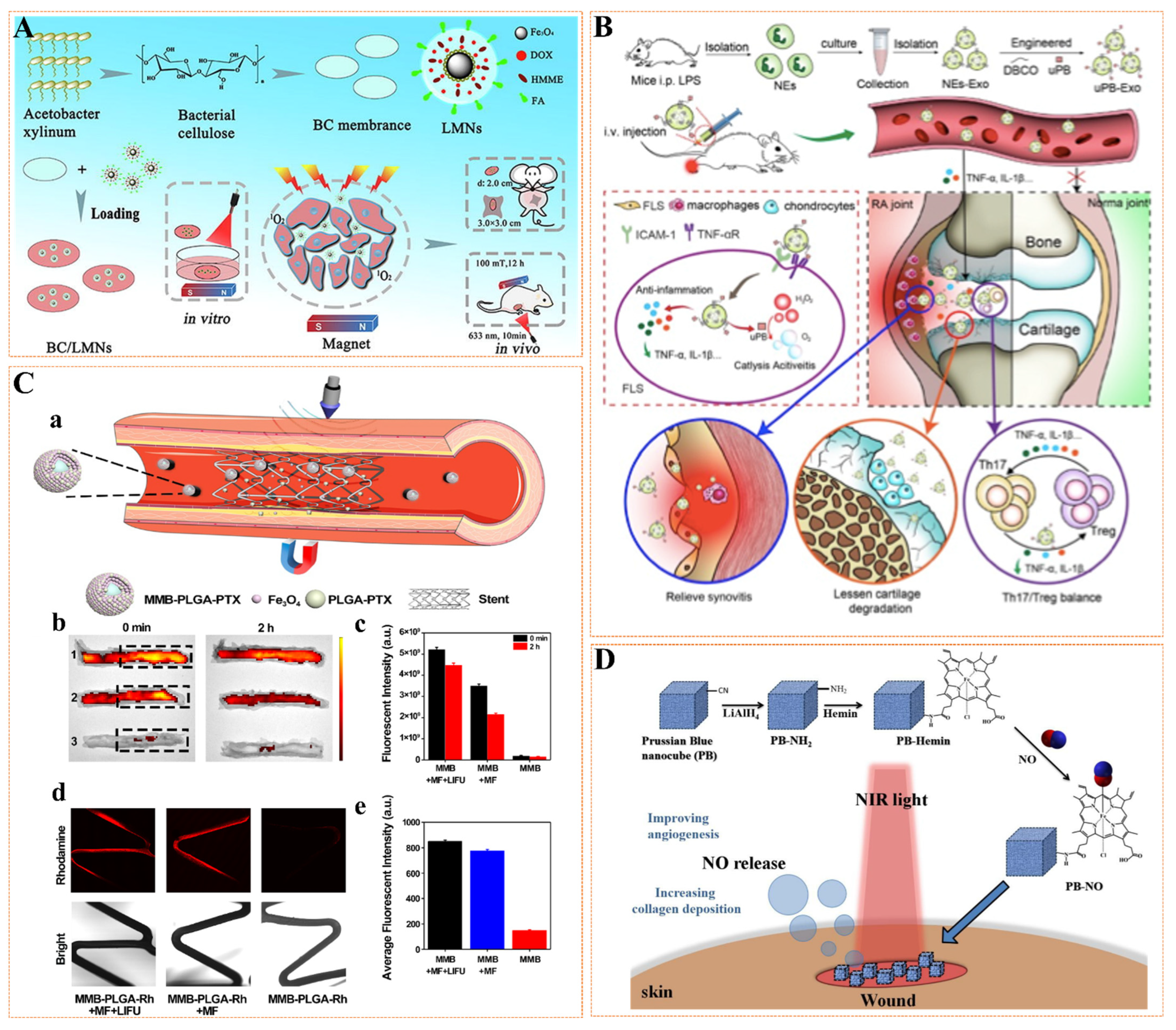 Pharmaceutics 14 01433 g005